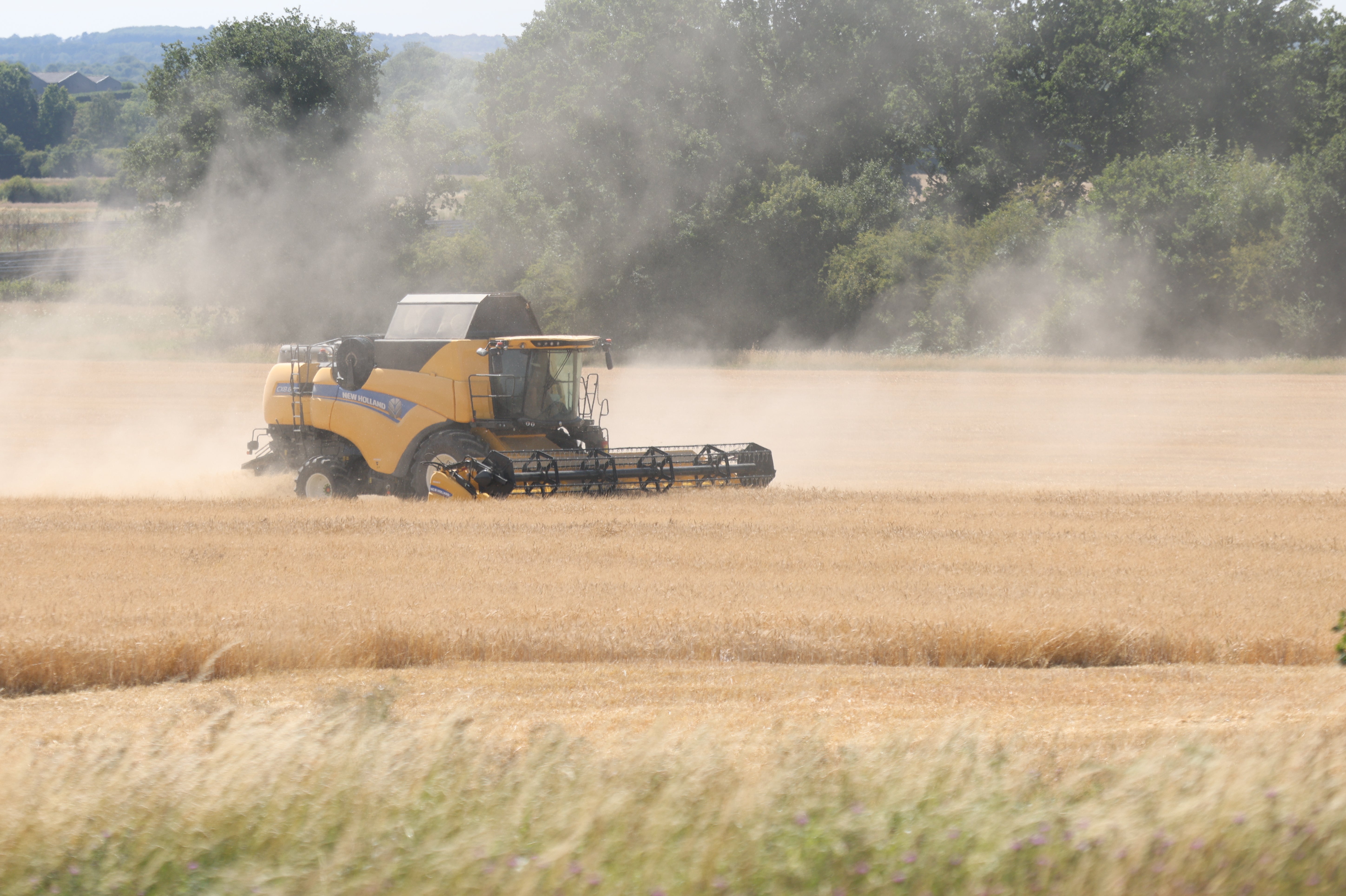 The government has said it is reviewing the introduction of a scheme that will pay farmers to enhance nature