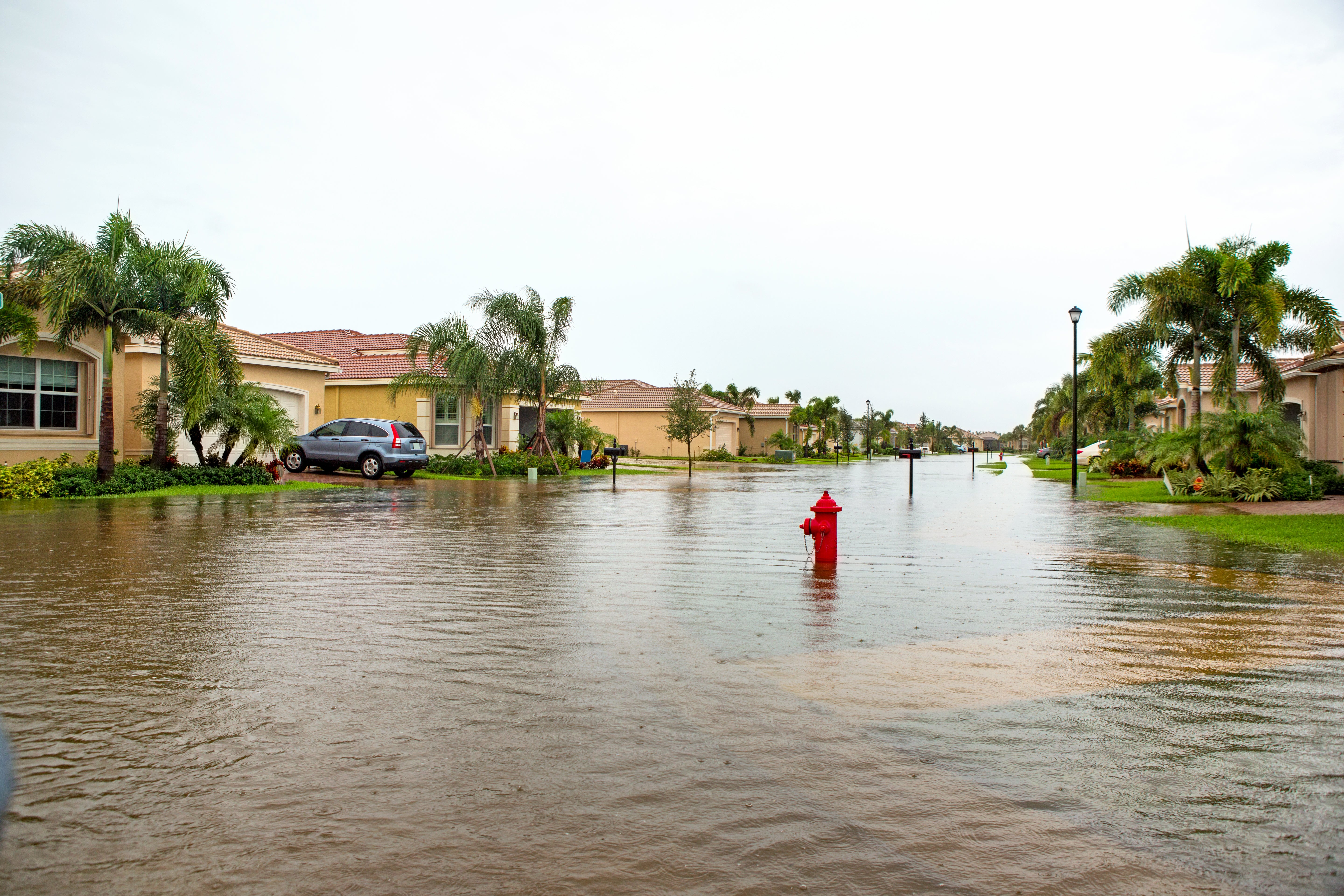 Why you shouldn’t linger in hurricane floodwaters 