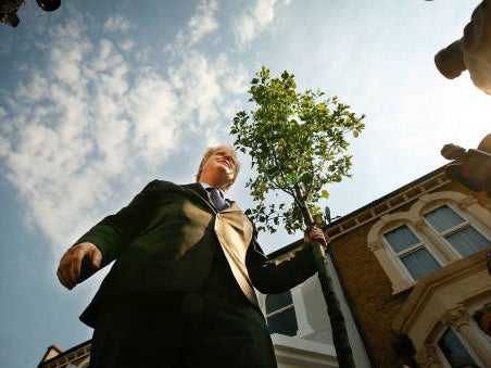 Boris Johnson promised to increase tree-planting rates