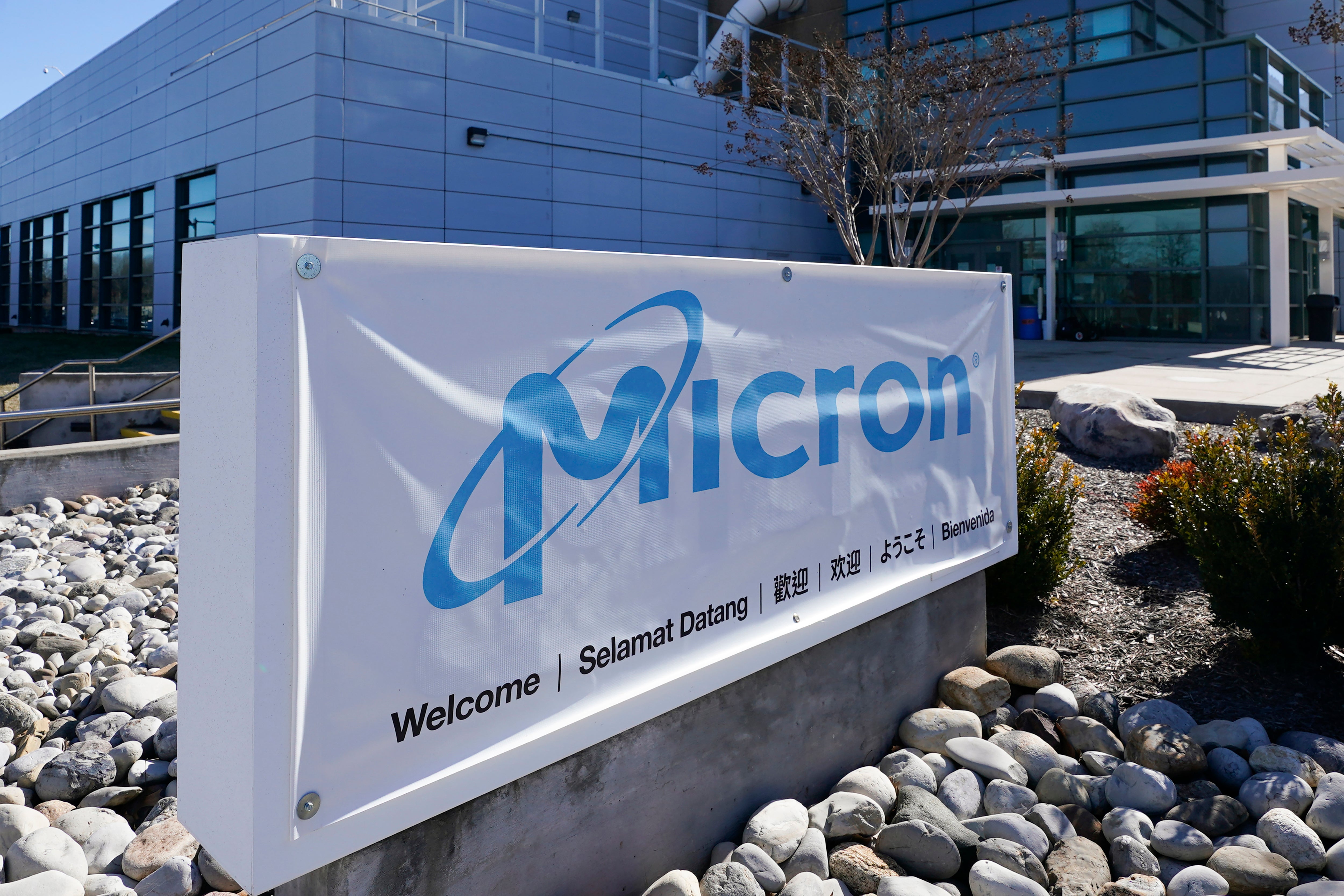 Japan US Micron