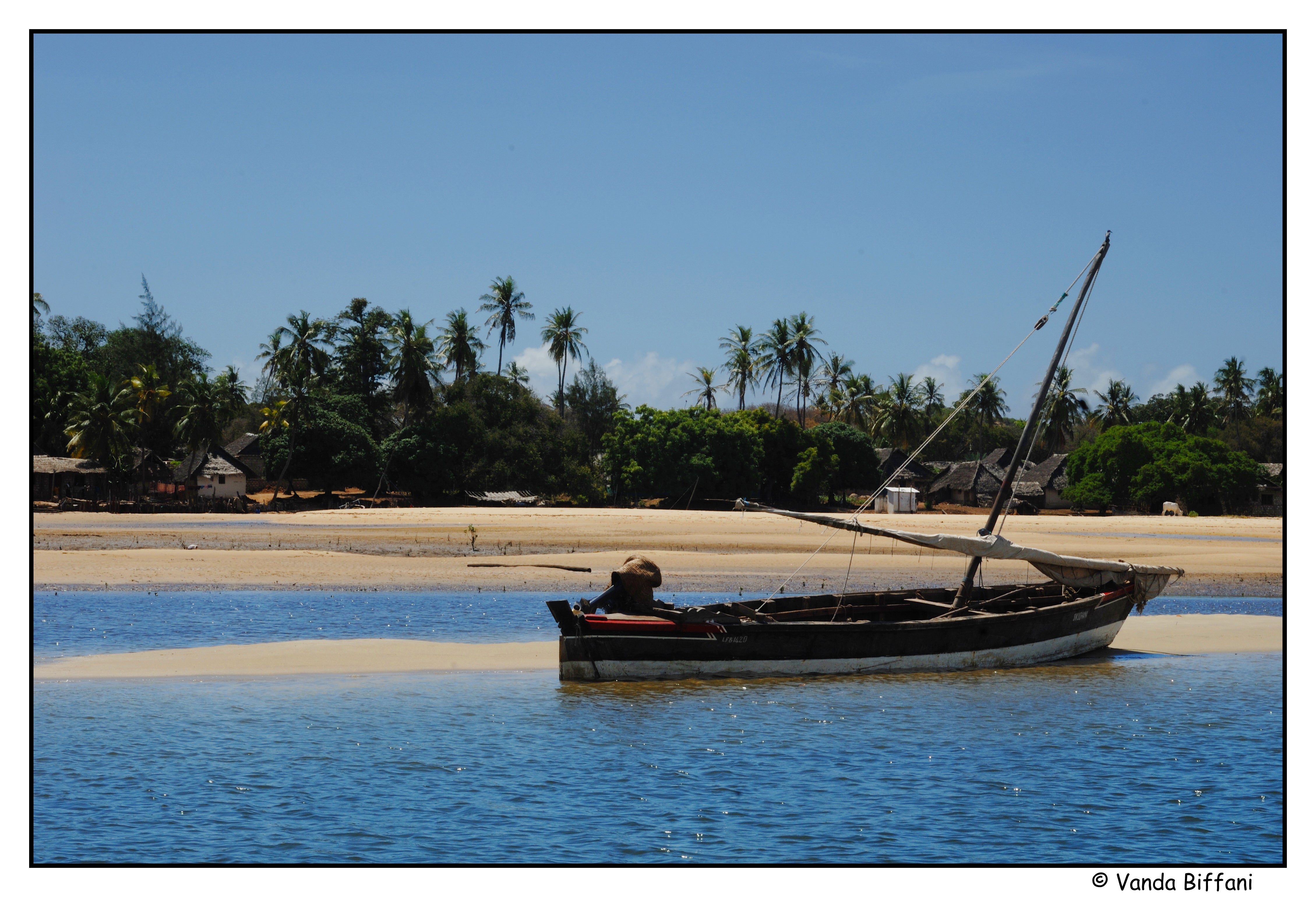 Snorkel, surf and swim with dolphins along the far-stretching Kenyan coast