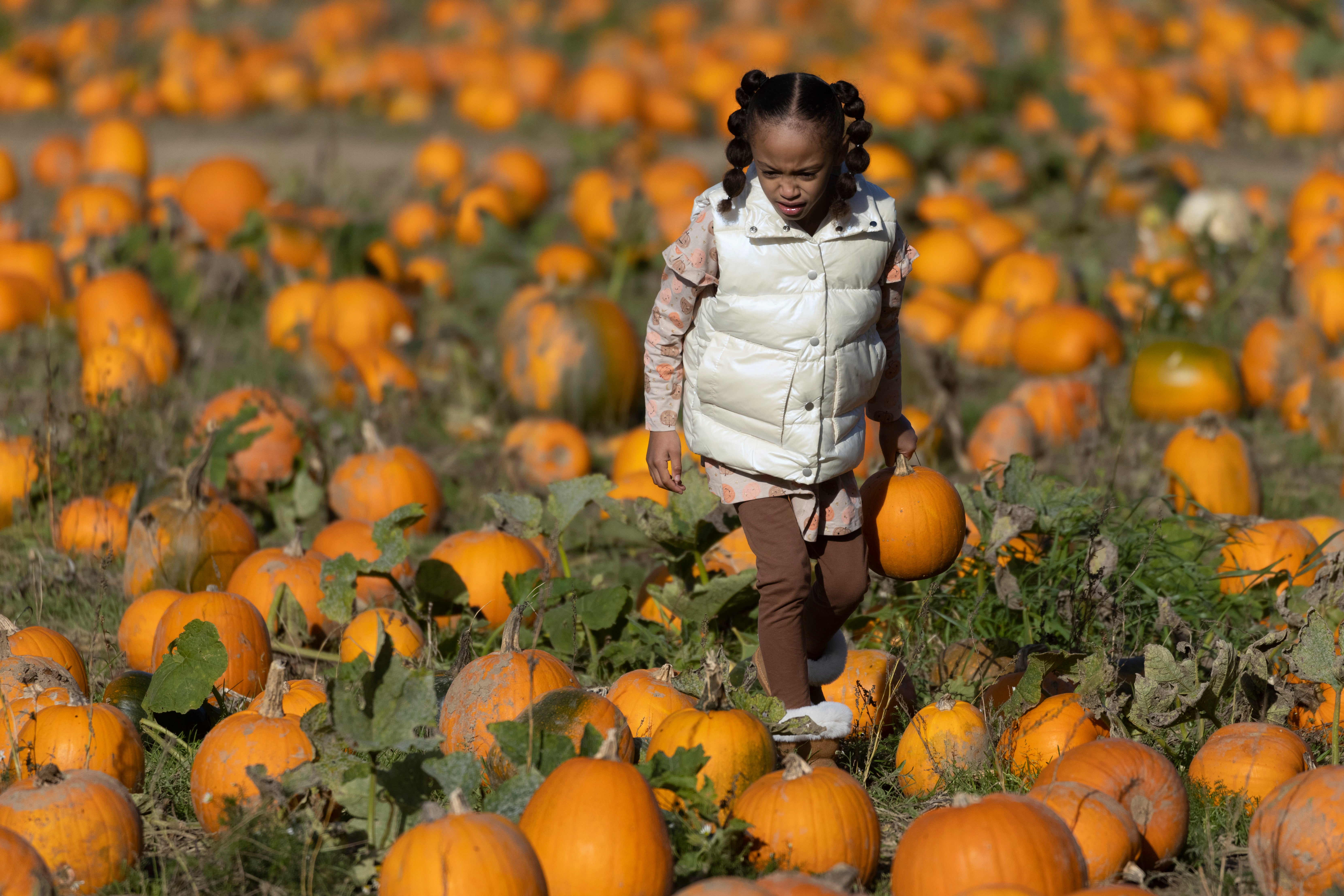 Halloween is hollowed-out pumkins and childhood nostalgia