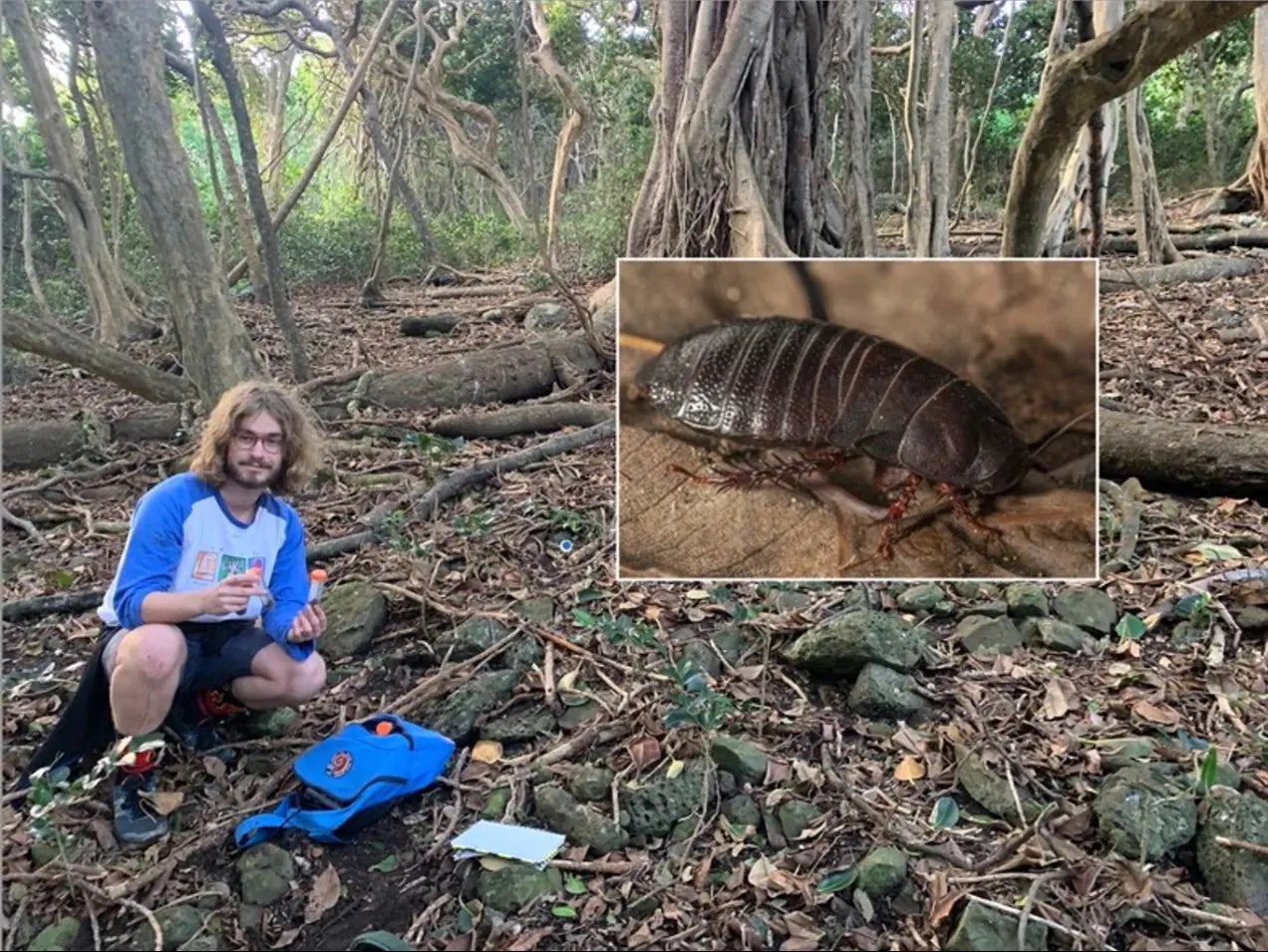 Student Maxim Adams under the banyan tree where the surprise discovery of the roach was made