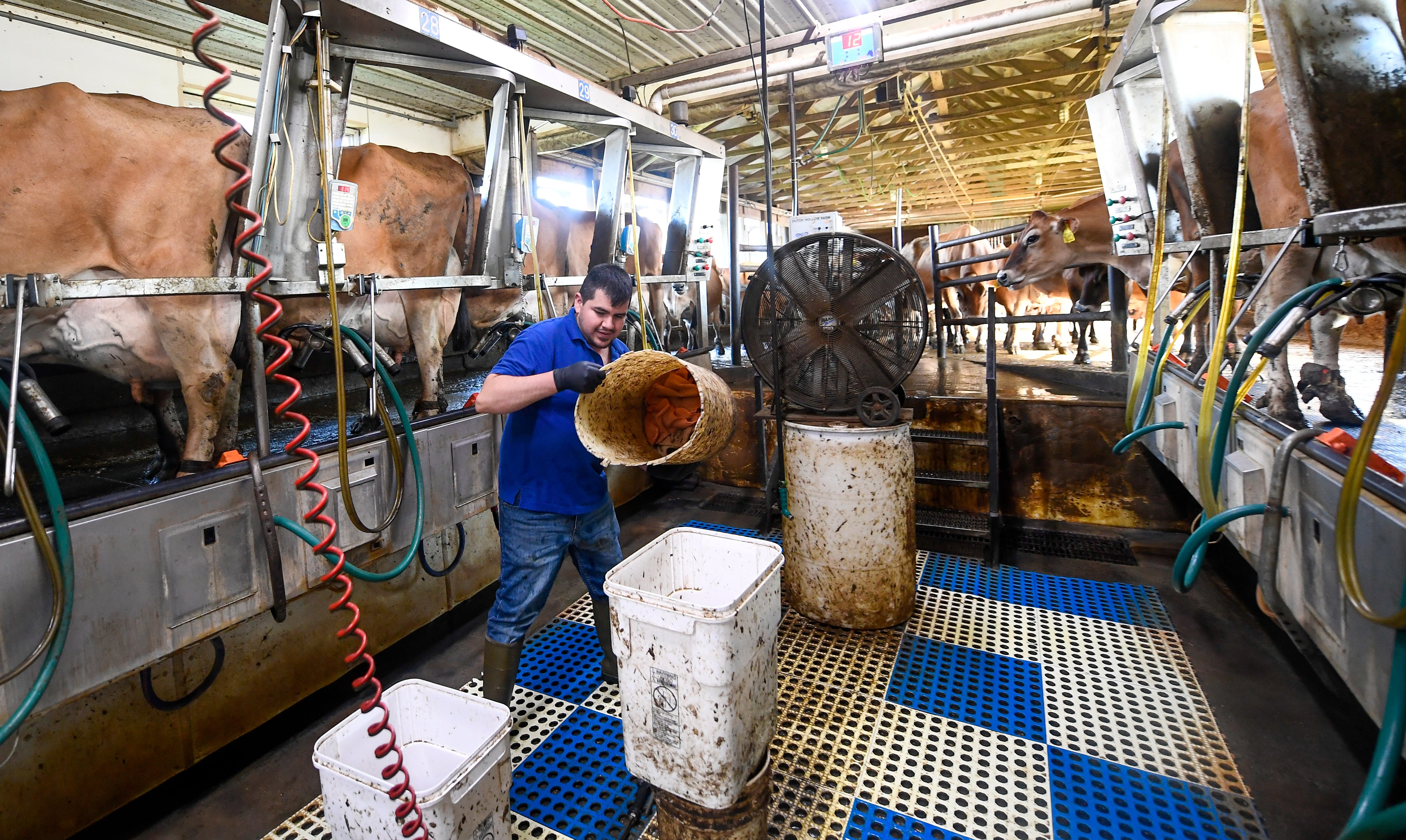 Farm Workers-Overtime