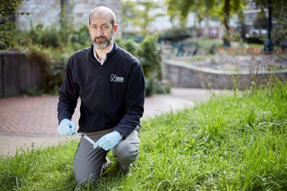 The Natural History Museum is creating gardens to see how wildlife reacts to climate change (Natural History Museum/PA)