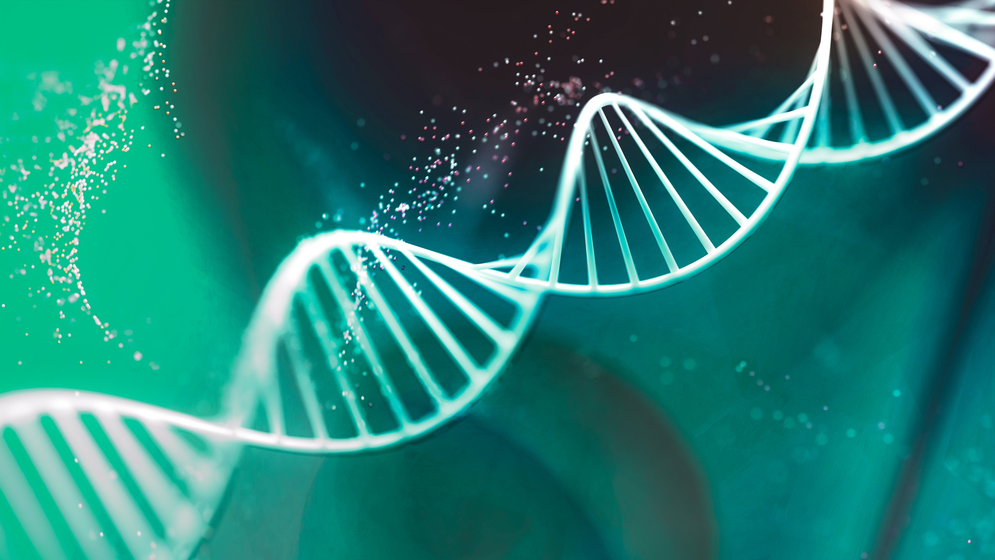 A DNA molecule built from amino acids.