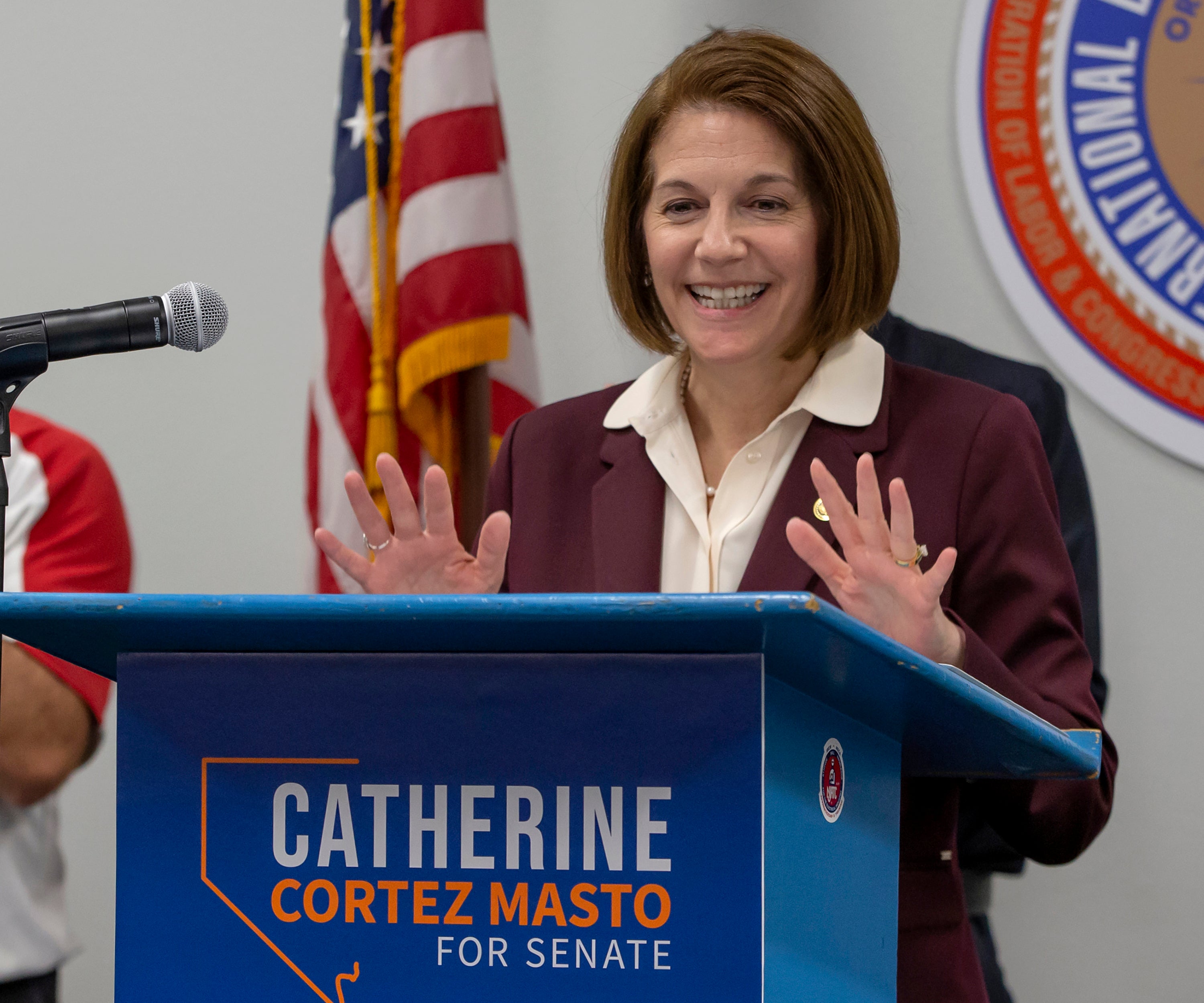 Election 2022 Nevada Senate