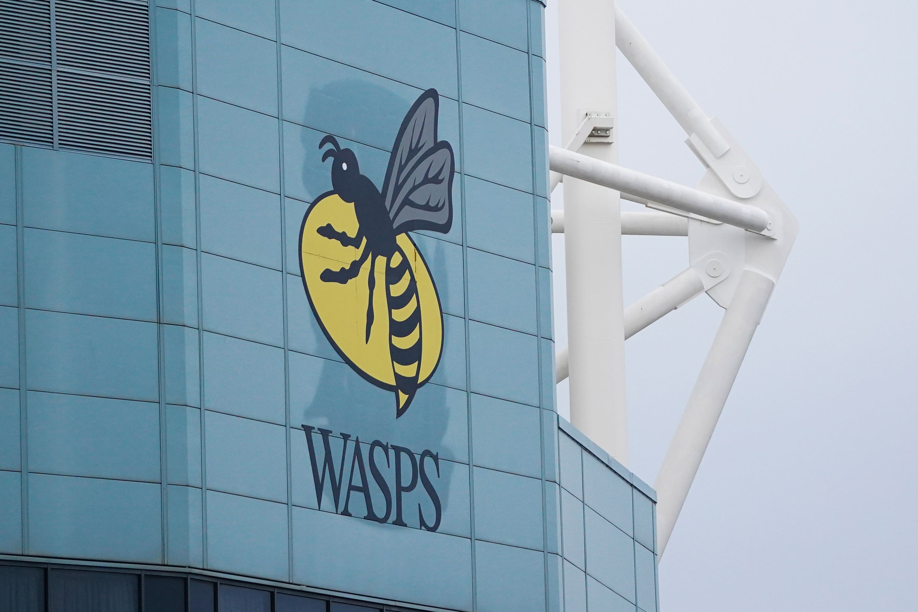 Wasps appear to have lost their fight for survival