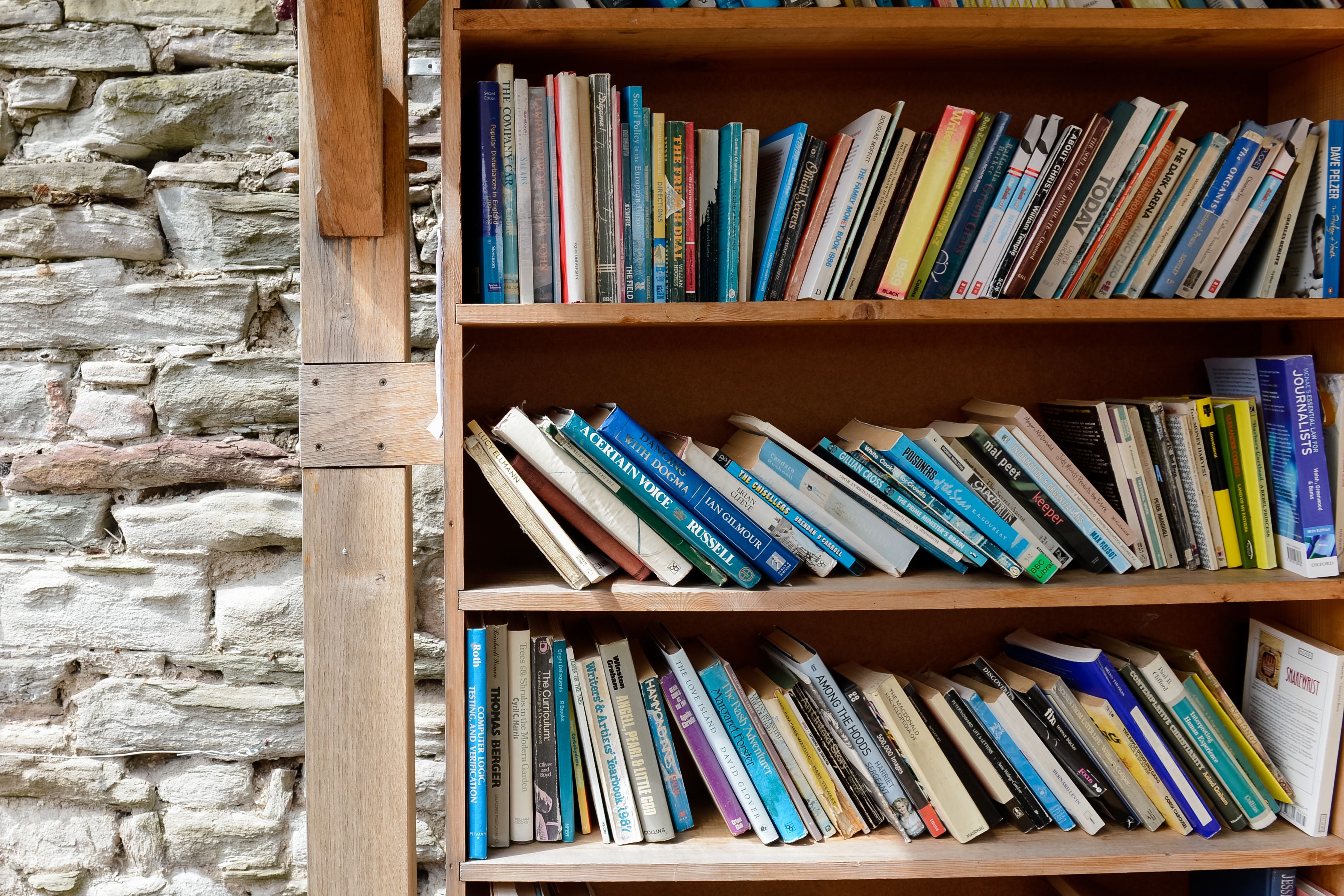 General view of books on a bookshelf (Ryan Phillips/PA)