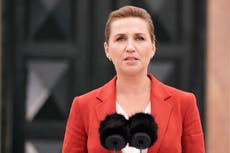 Mink row forces Danish PM Mette Frederiksen to call early general election