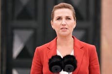 Mink row forces Danish PM Mette Frederiksen to call early general election