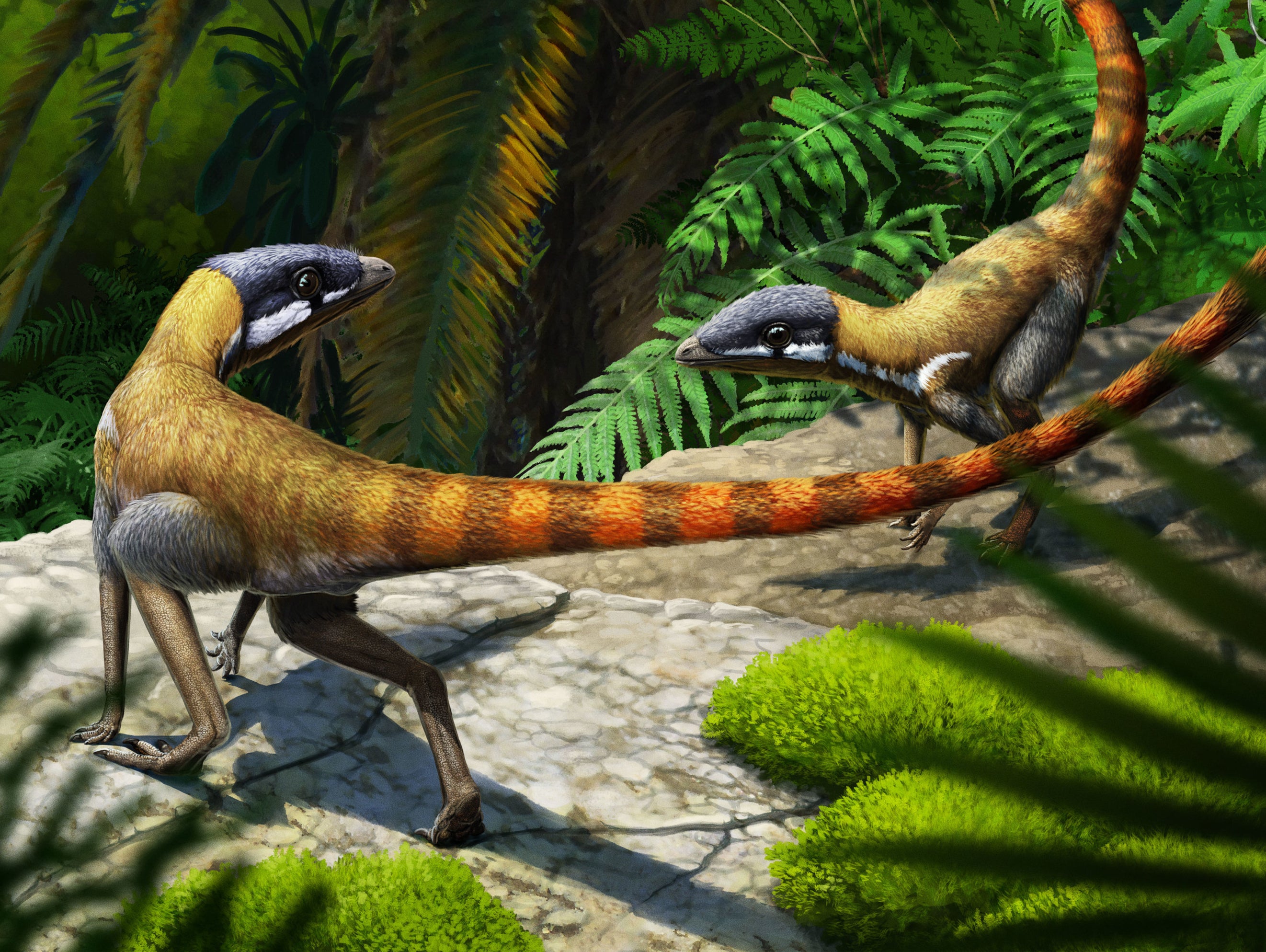 The creatures is closely related to extinct flying reptiles