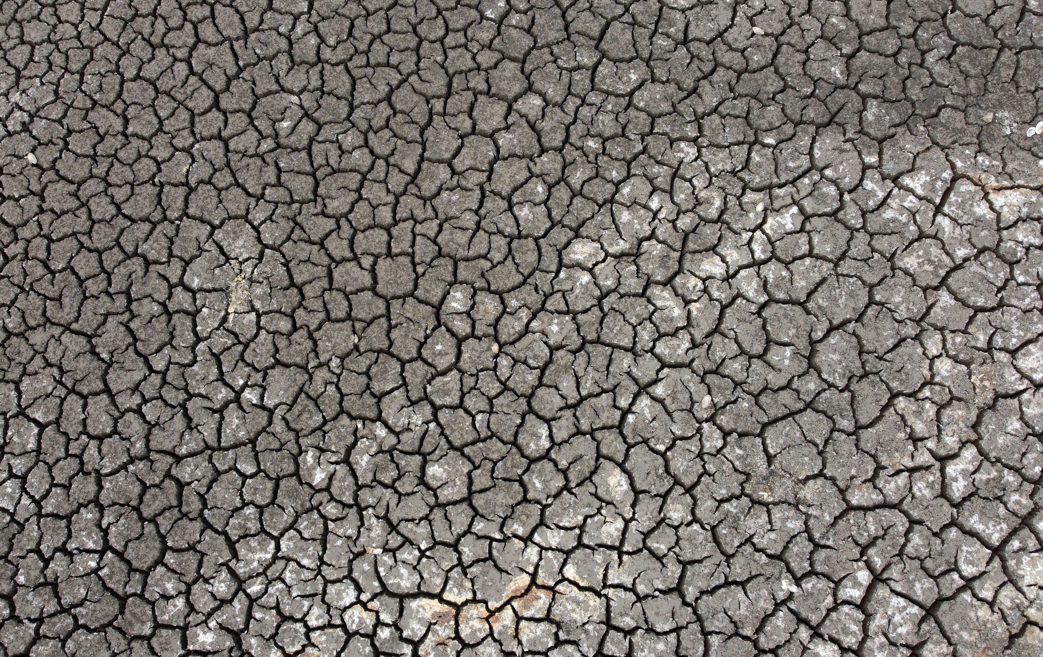 Climate Change Drought