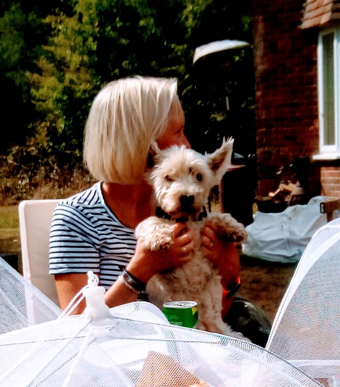 Alfie the dog belonged to Linda Banwell, 48, from Newdigate in Surrey