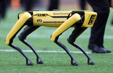 Boston Dynamics pledges not to weaponise its mechanical humans or dogs - but that might not stop robot war