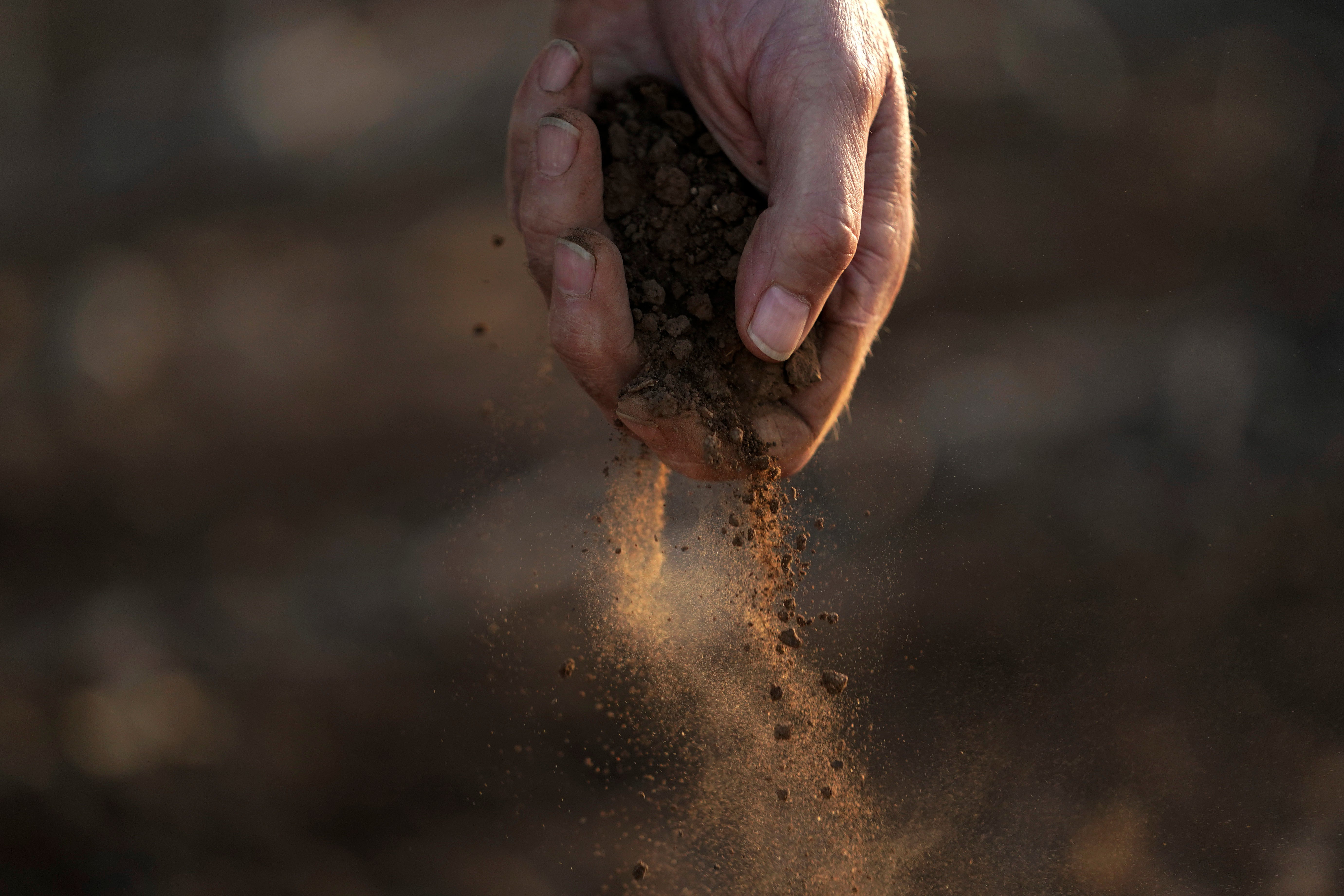 Texas Drought Cotton Production