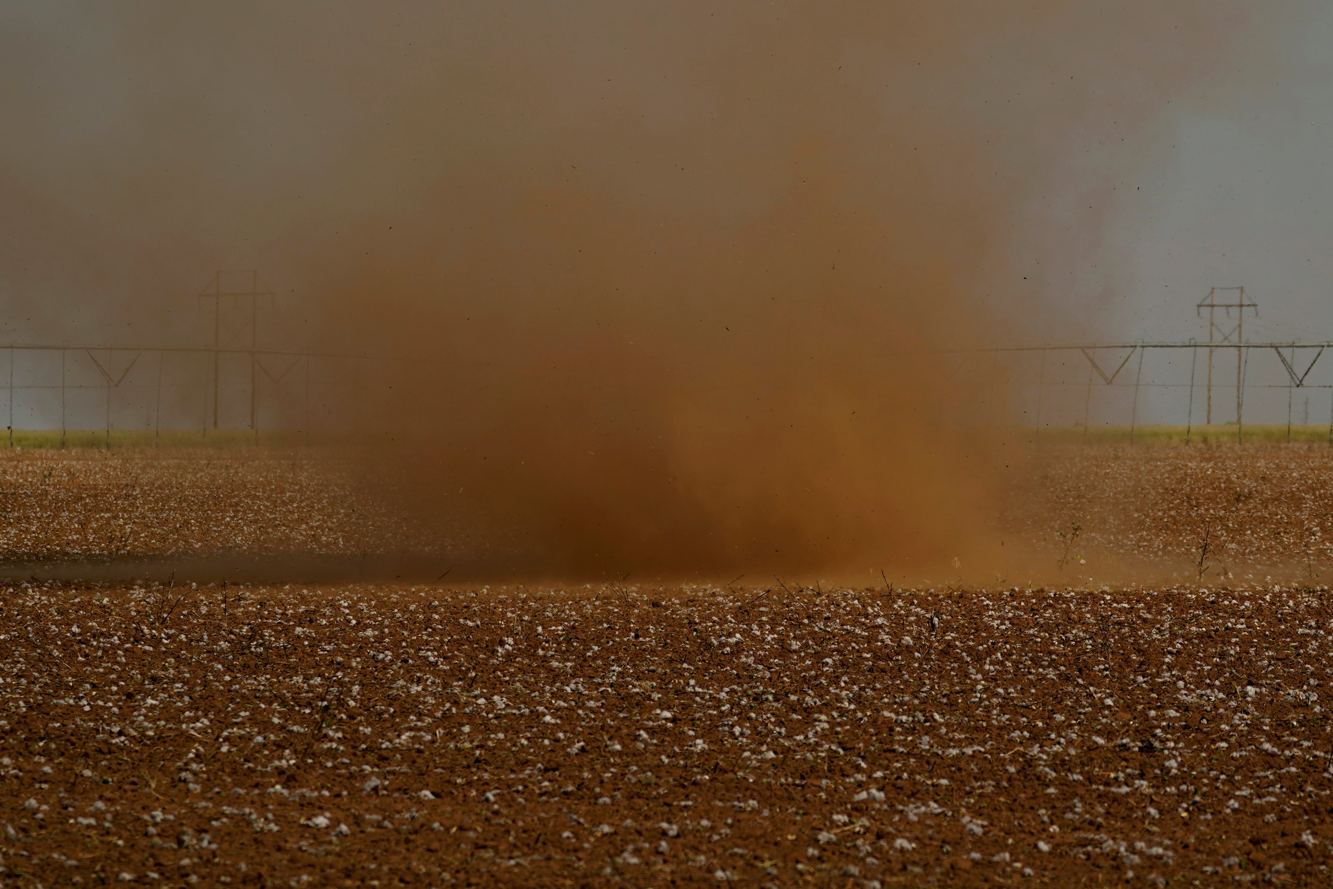 Texas Drought Cotton Production