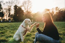 These are the most popular pet names of 2022