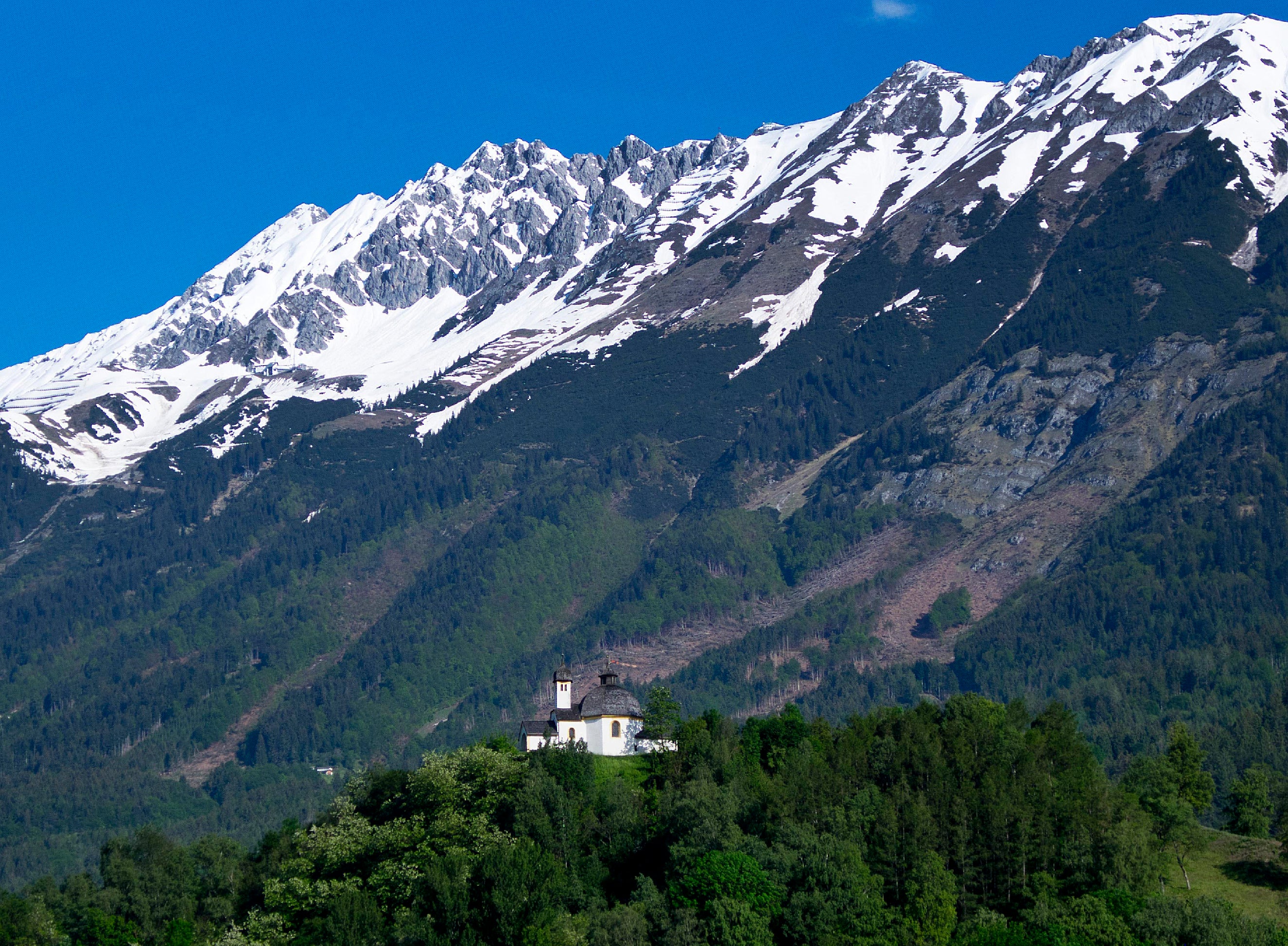 Austria Presidential Election