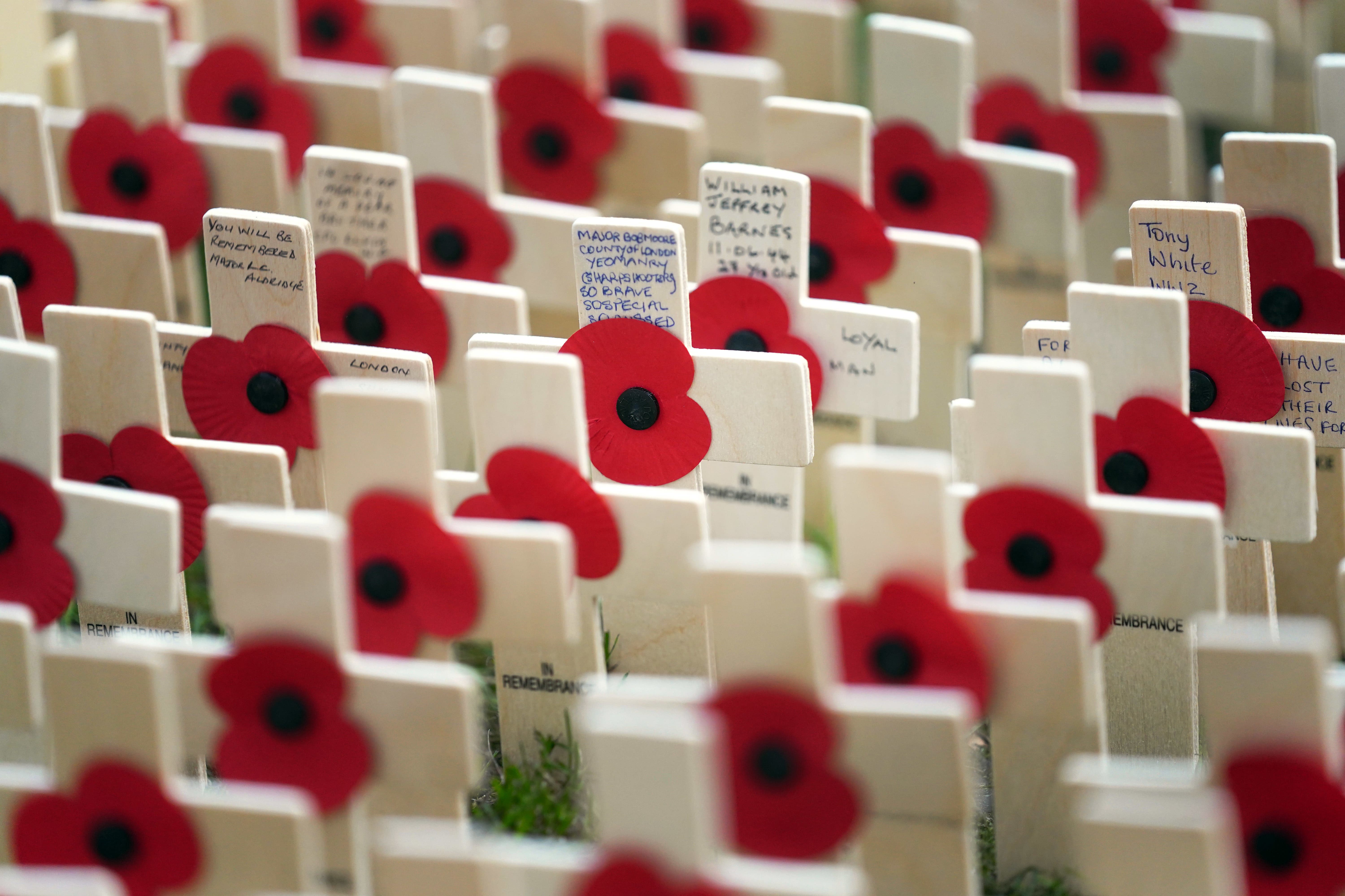 Rows of poppies on crosses are laid out in the Field of Remembrance outside Westminster Abbey in central London