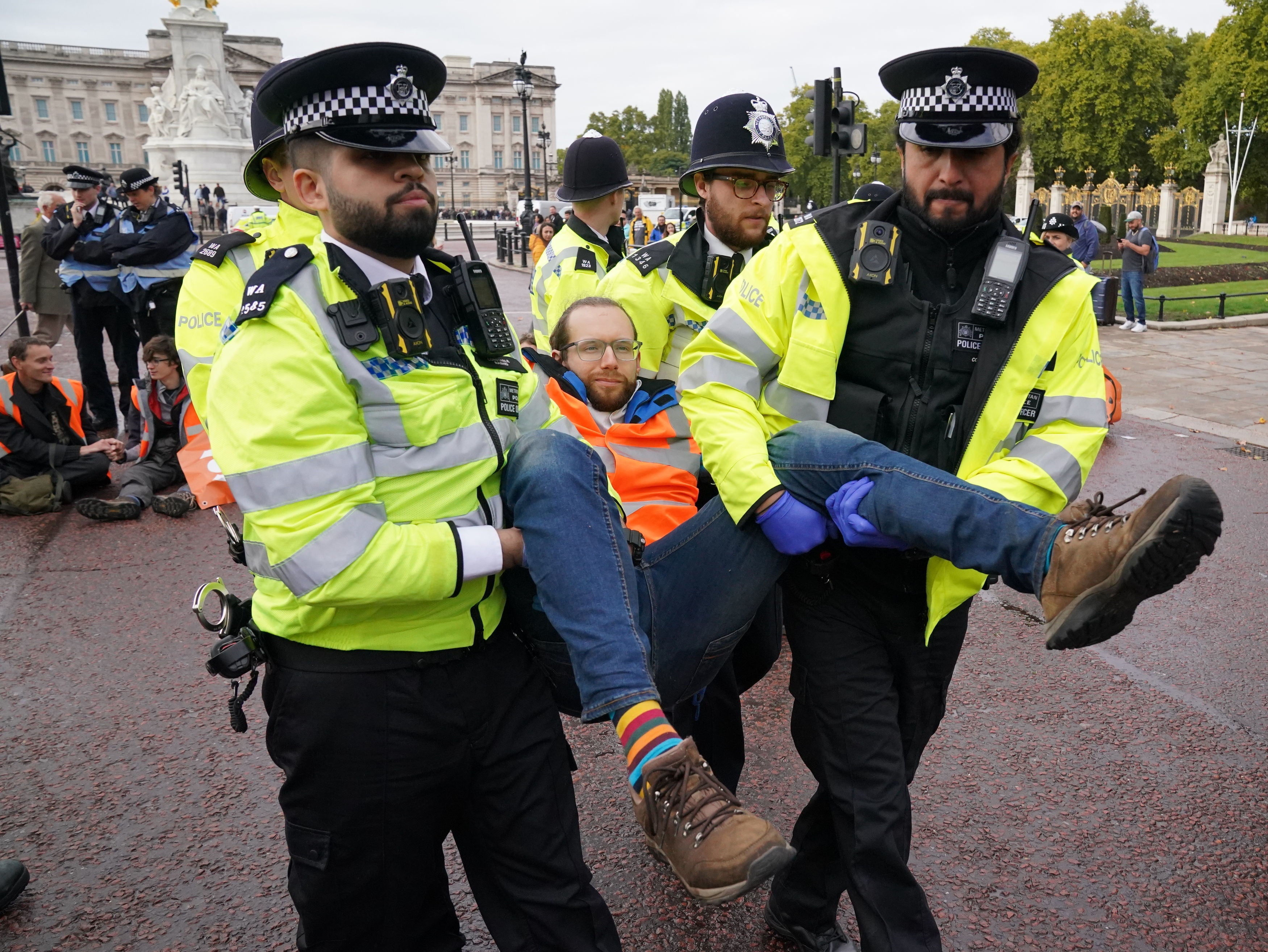 Police arrested protesters along the Mall after climate campaigners blocked the road to Buckingham Palace