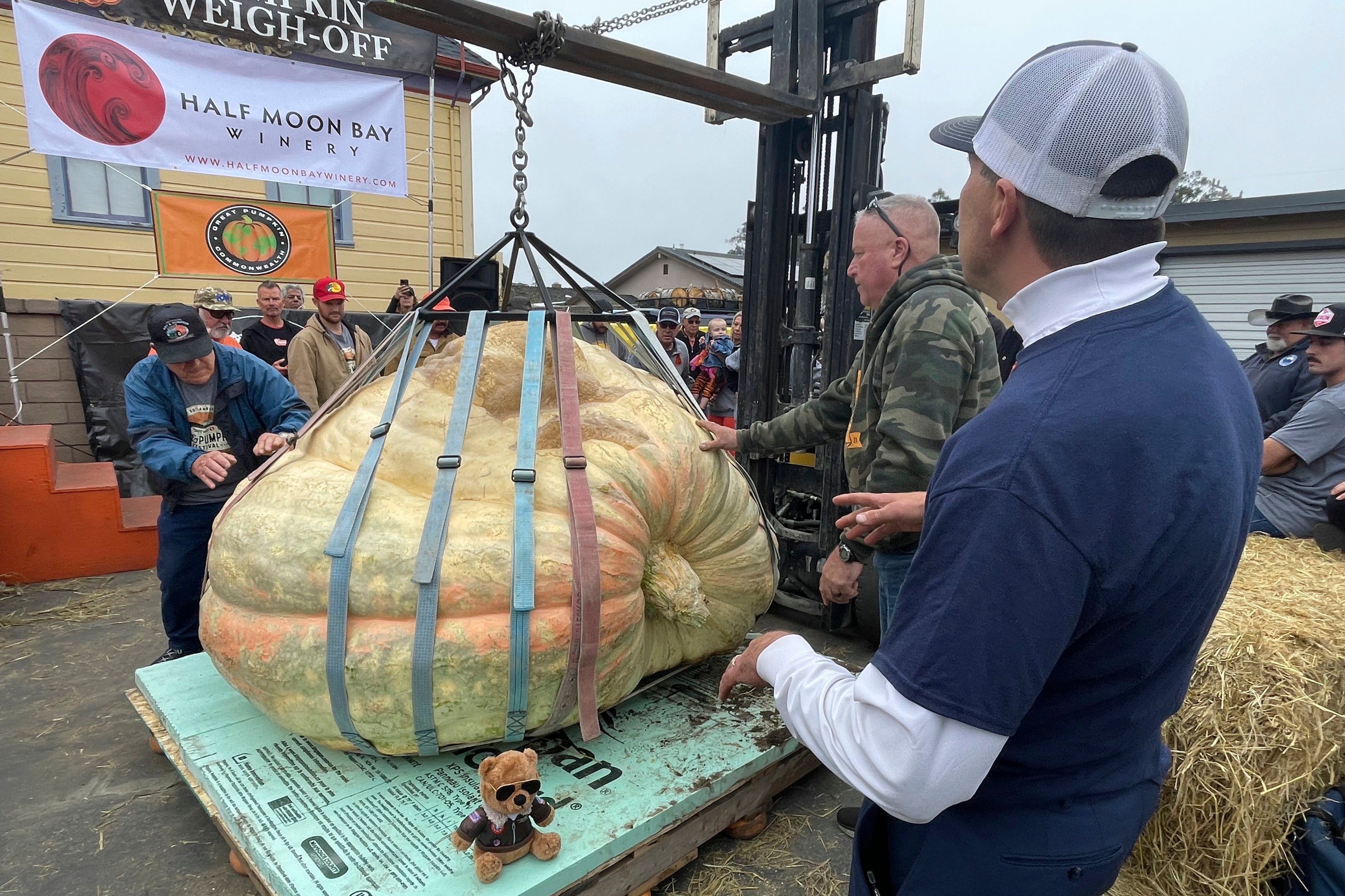 Giant Pumpkin Winner
