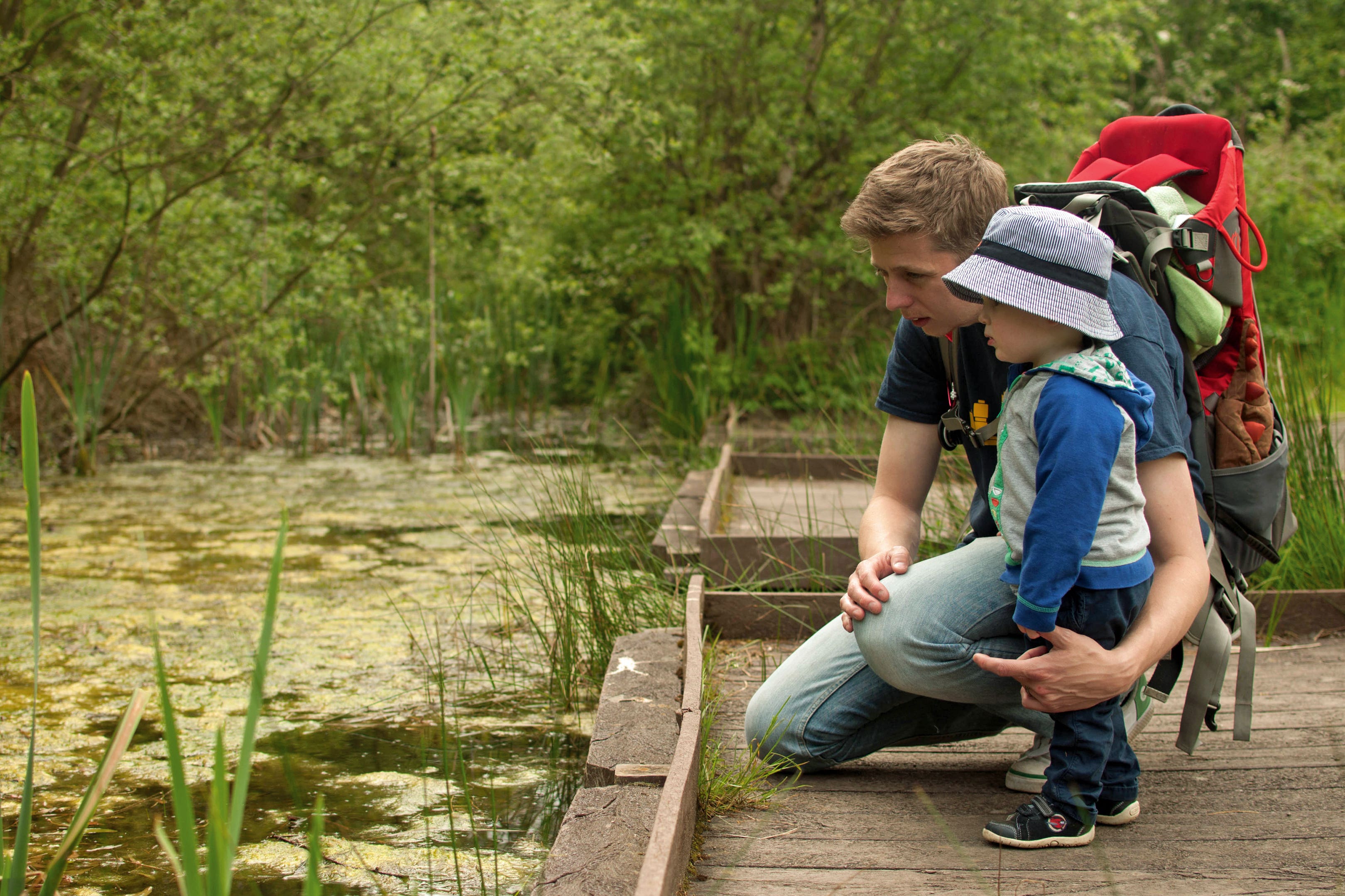 Yorkshire Wildlife Trust Potteric Carr (Kirsten Carter/PA)