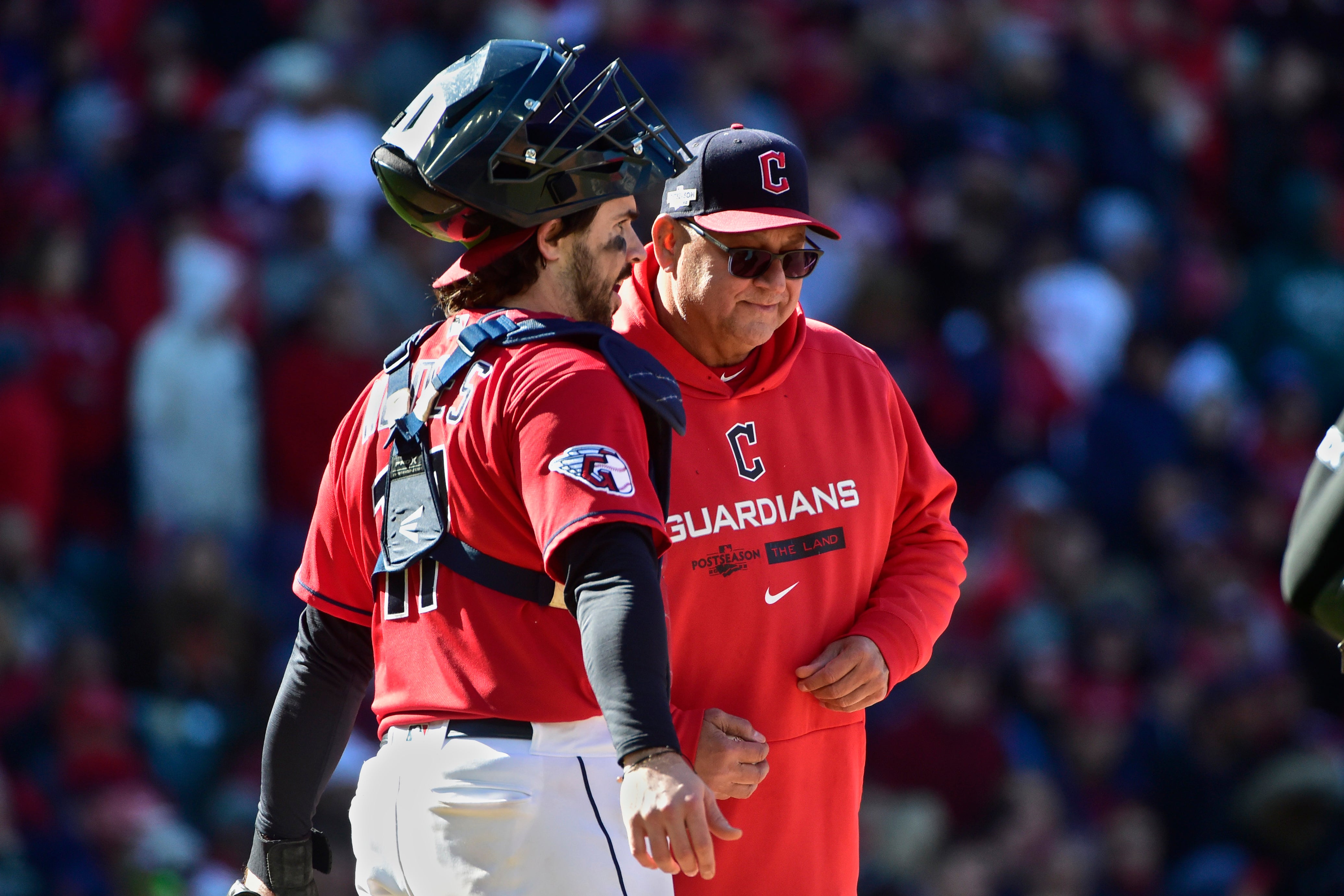 Rays Guardians Baseball