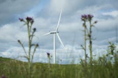 Government takes aim at wind farm profits with new rules