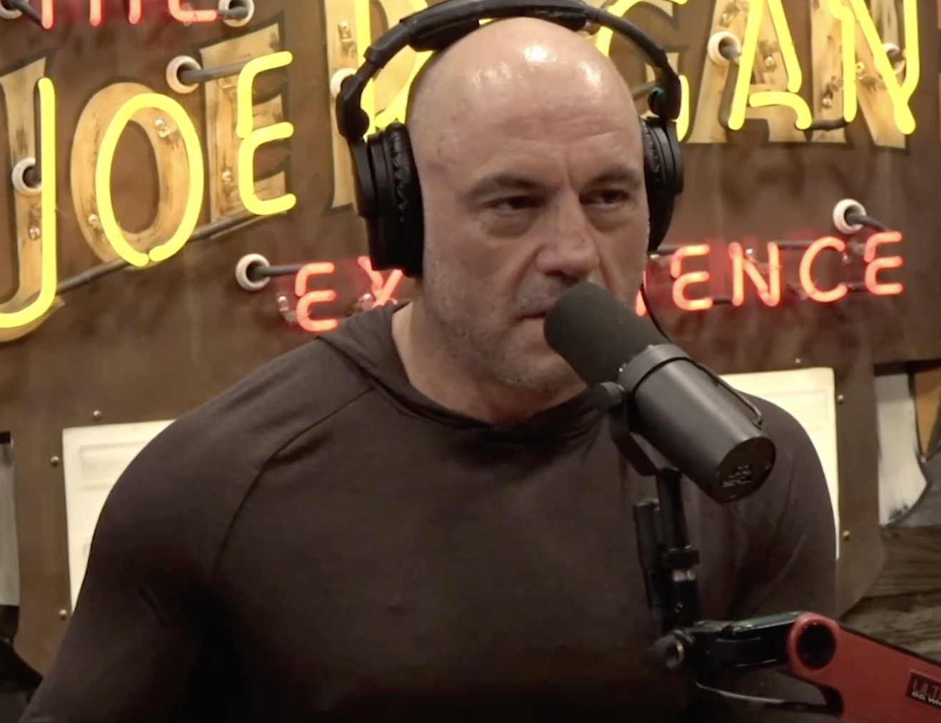 Joe Rogan said smoking an extract from the Sonoran Desert toad was the most terrifying experience of his life