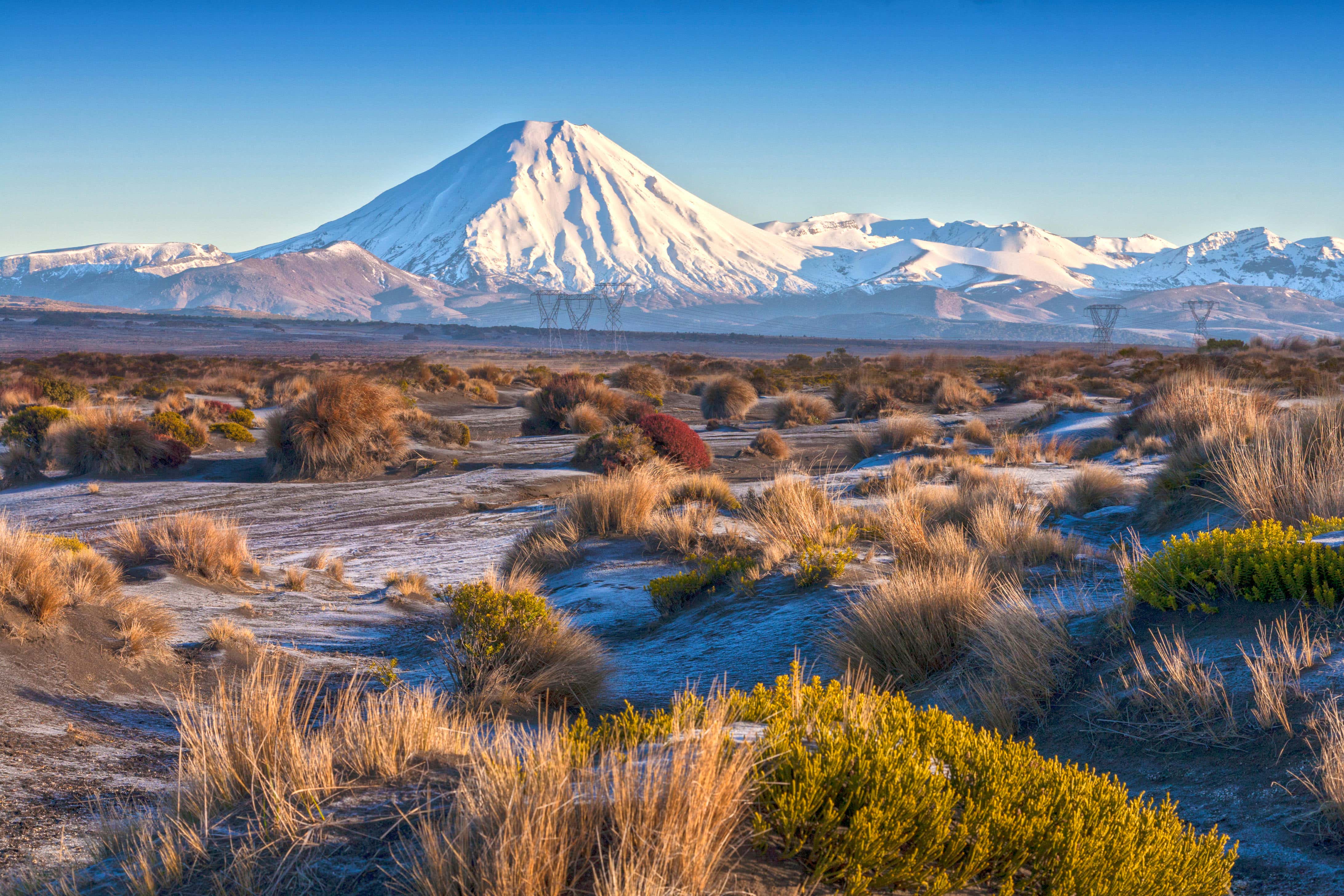 Now might be a good time to visit New Zealand (Alamy/PA)