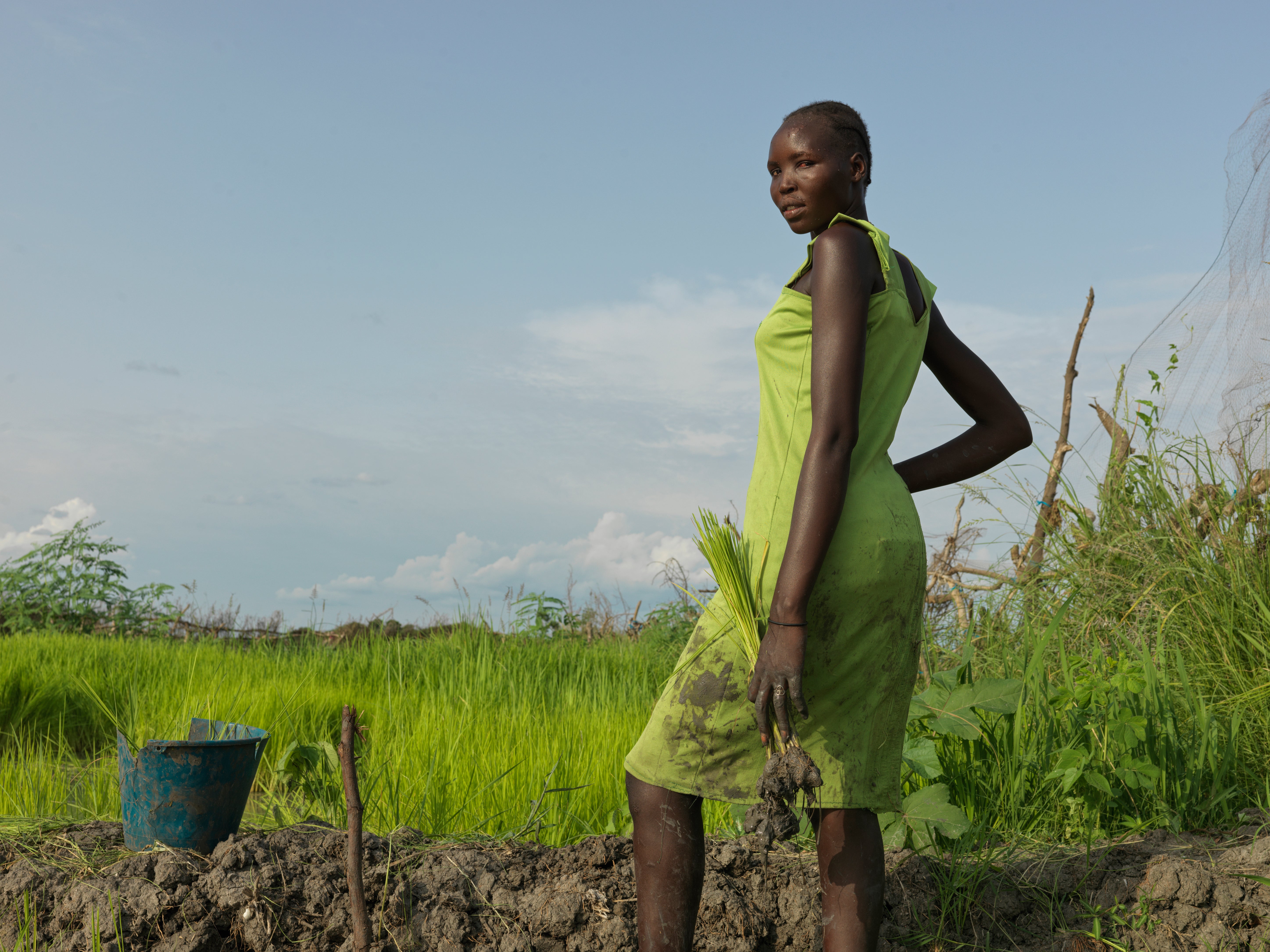 Nyaruot Gatluak, 24, plants rice at the Action Against Hunger rice paddy in Paguir