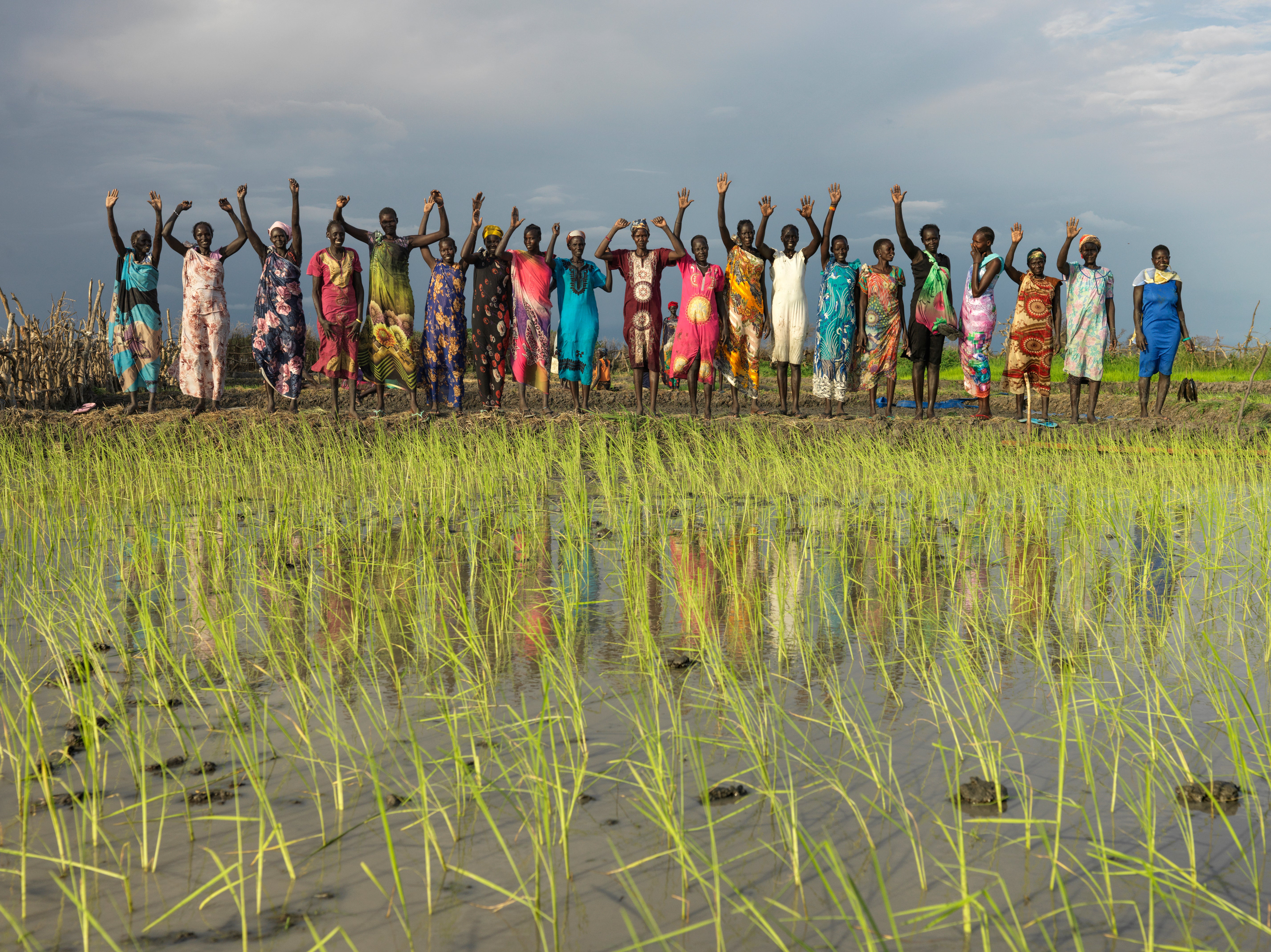 Paid volunteers identified by Action Against Hunger stand beside the rice paddy that they planted that day