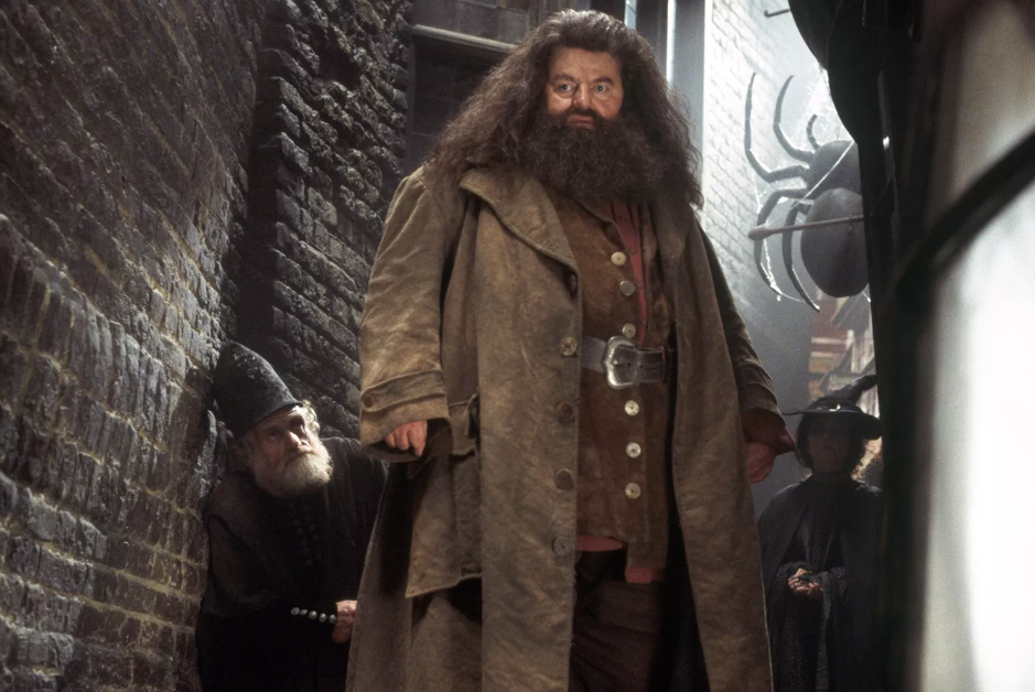 Robbie Coltrane was well-known for playing the role of Hagrid in the Harry Potter films