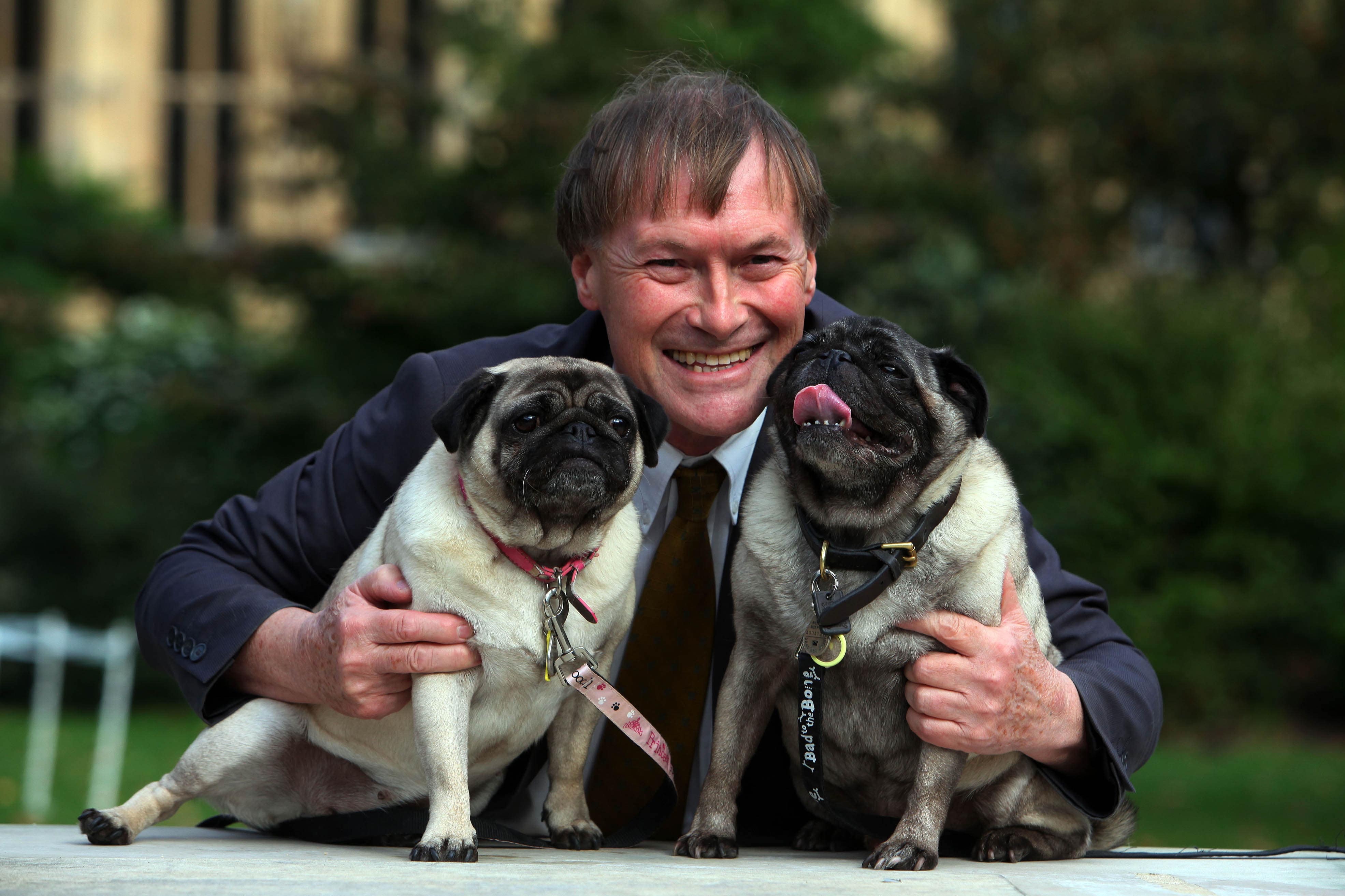 David Amess with his beloved pugs, Lilly and Botox