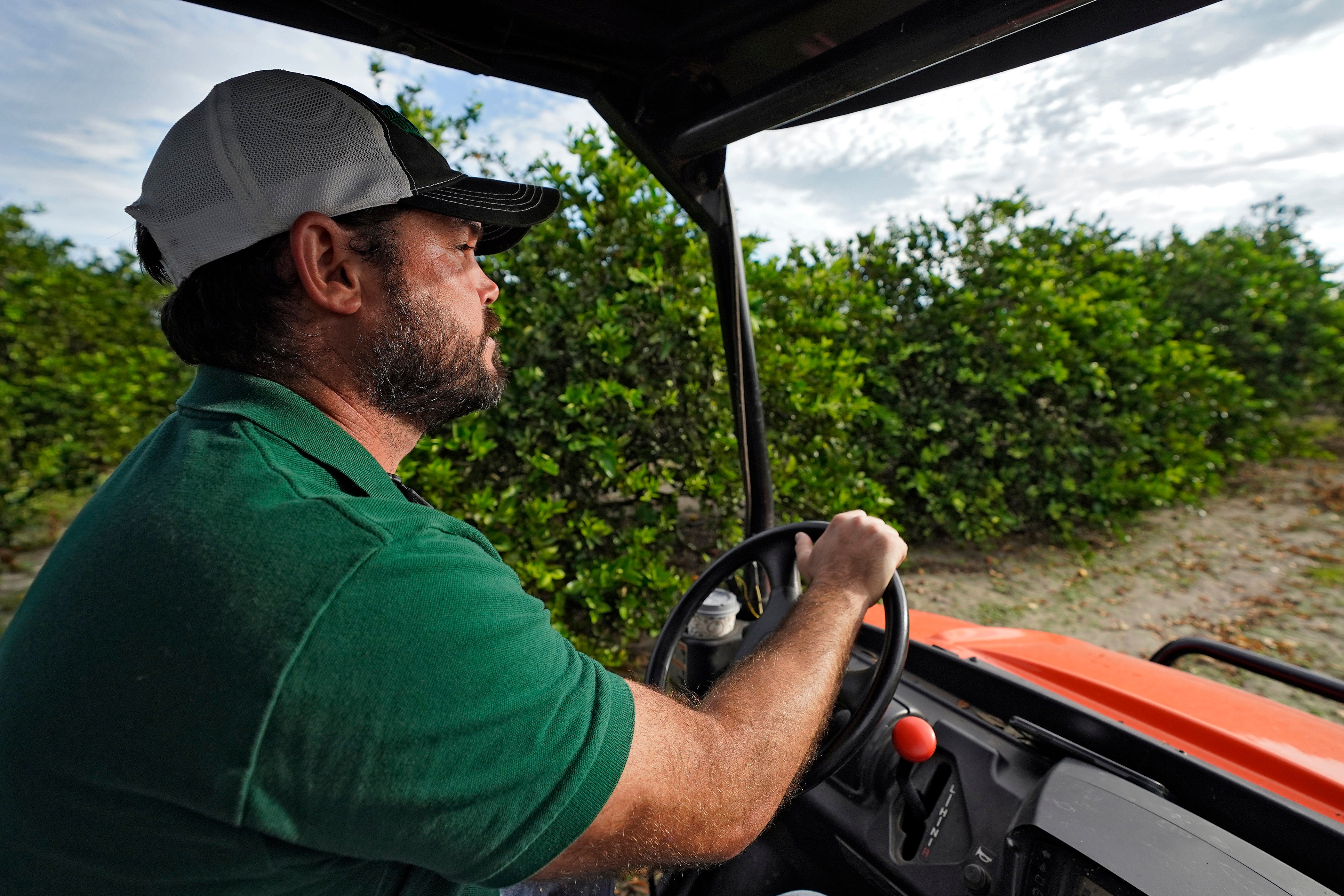 Hurricane Ian Florida Agriculture