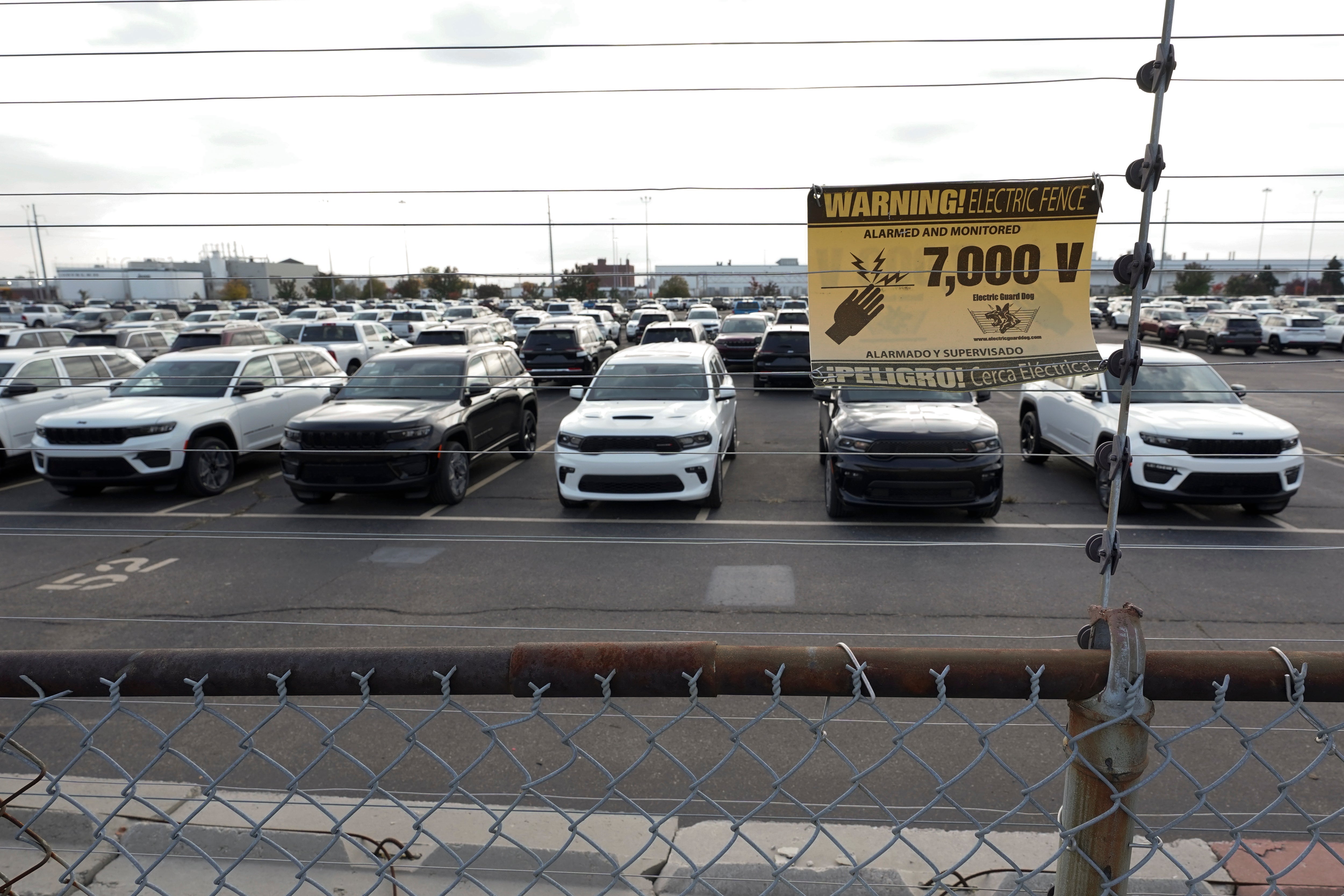 Muscle Car Theft Ring