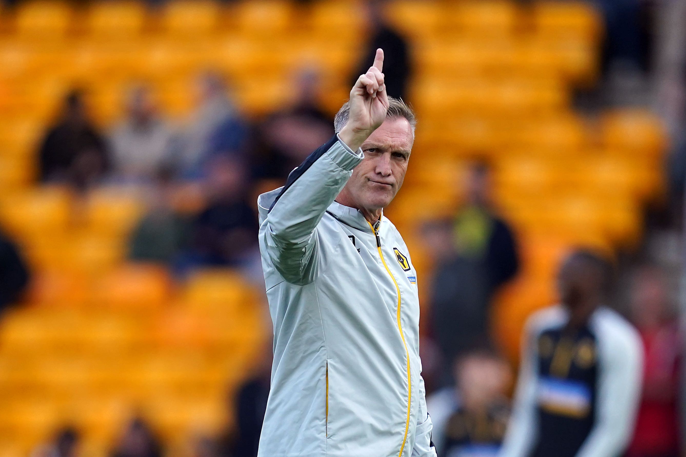 Wolves interim head coach Steve Davis is taking his job one game at a time (Nick Potts/PA)