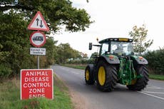 Bird flu prevention zone declared across Britain in ‘devastating’ outbreak