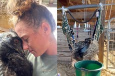 TikTok star Emmanuel the emu fighting for life amid avian flu outbreak, caretaker says