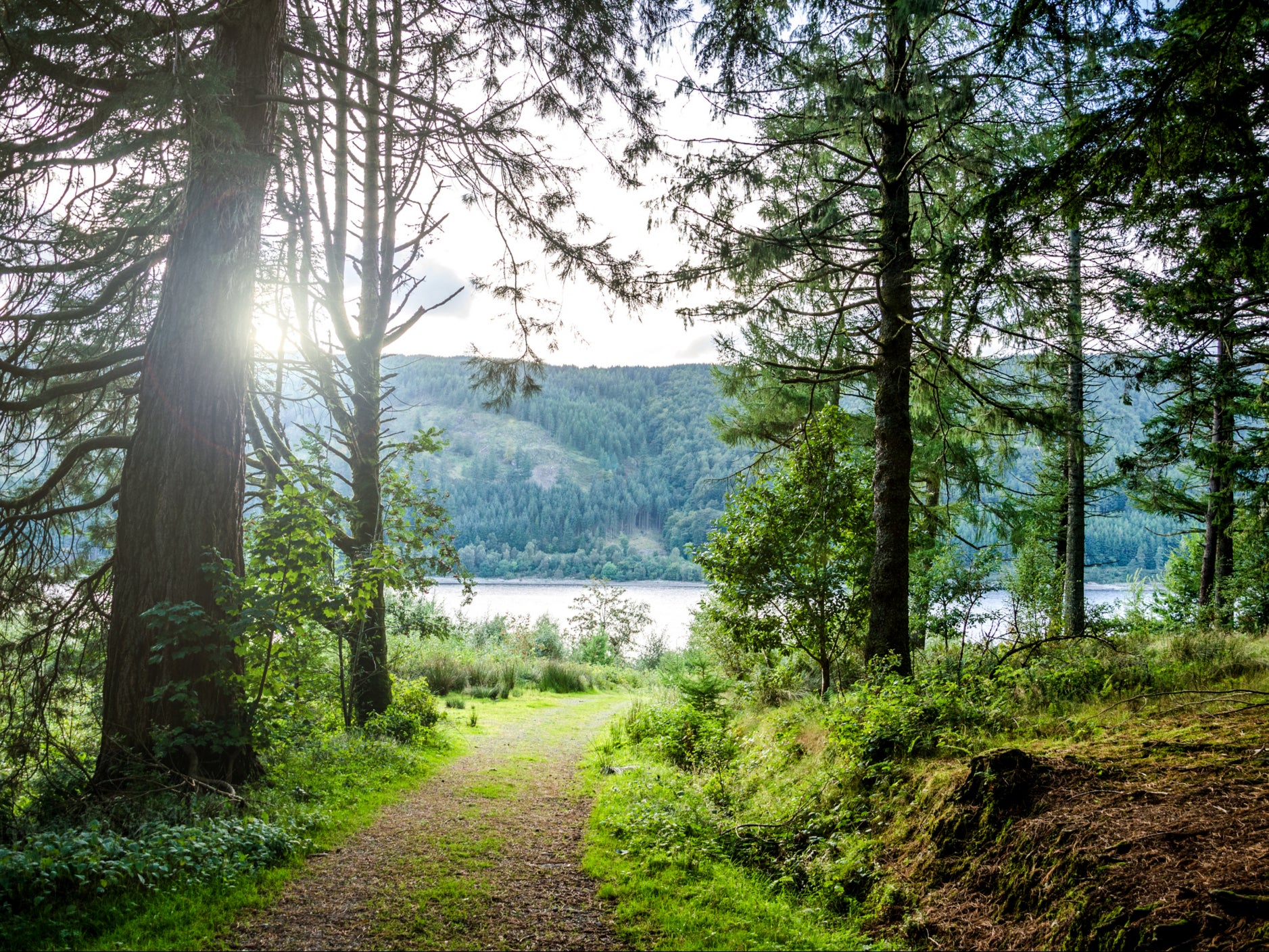 The report’s authors are calling on the government to boost nature in National Parks and Areas of Outstanding Natural Beauty