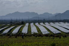 Solar power generation helped avoid $34bn in costs for seven Asian countries