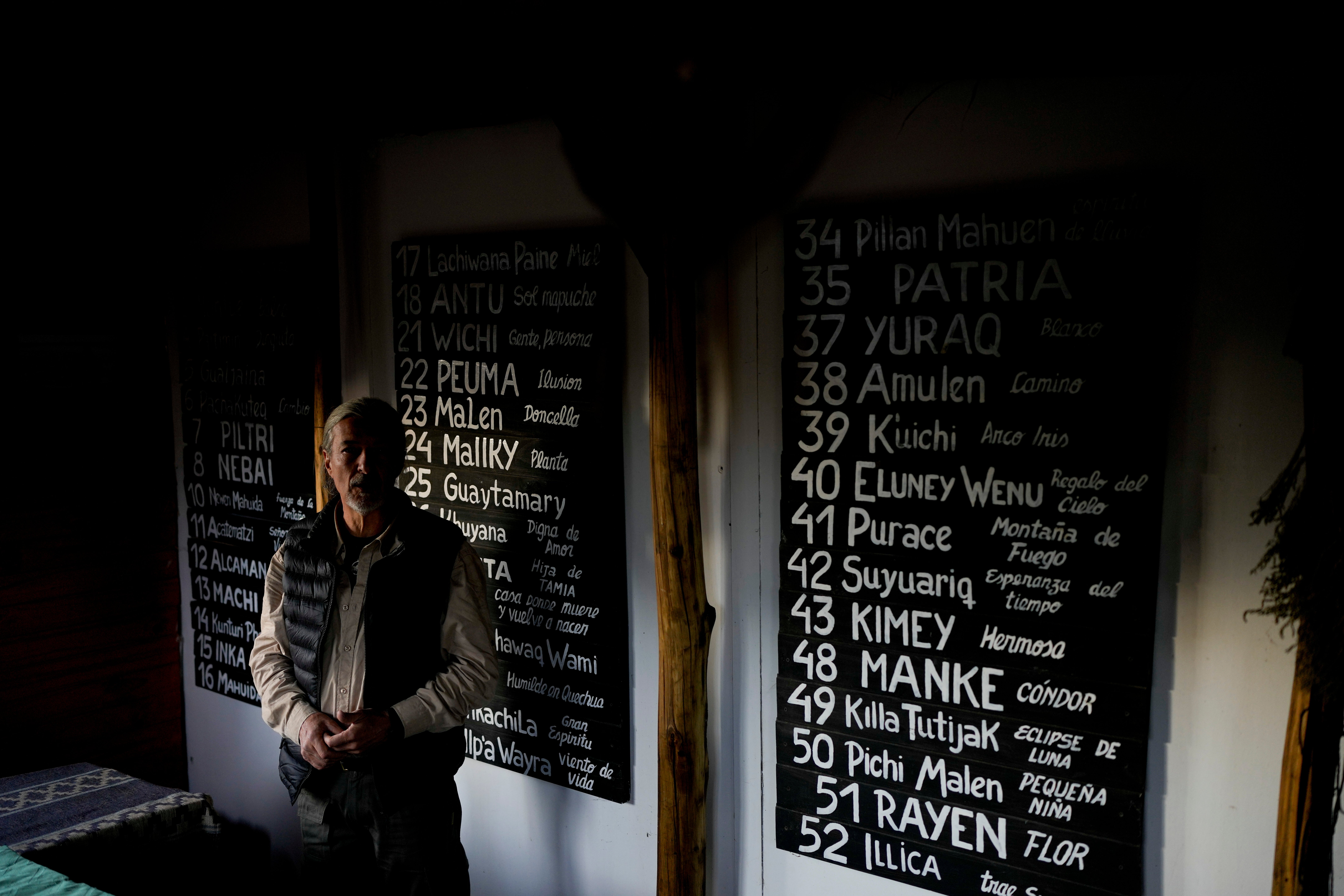 Argentina Andean Condor
