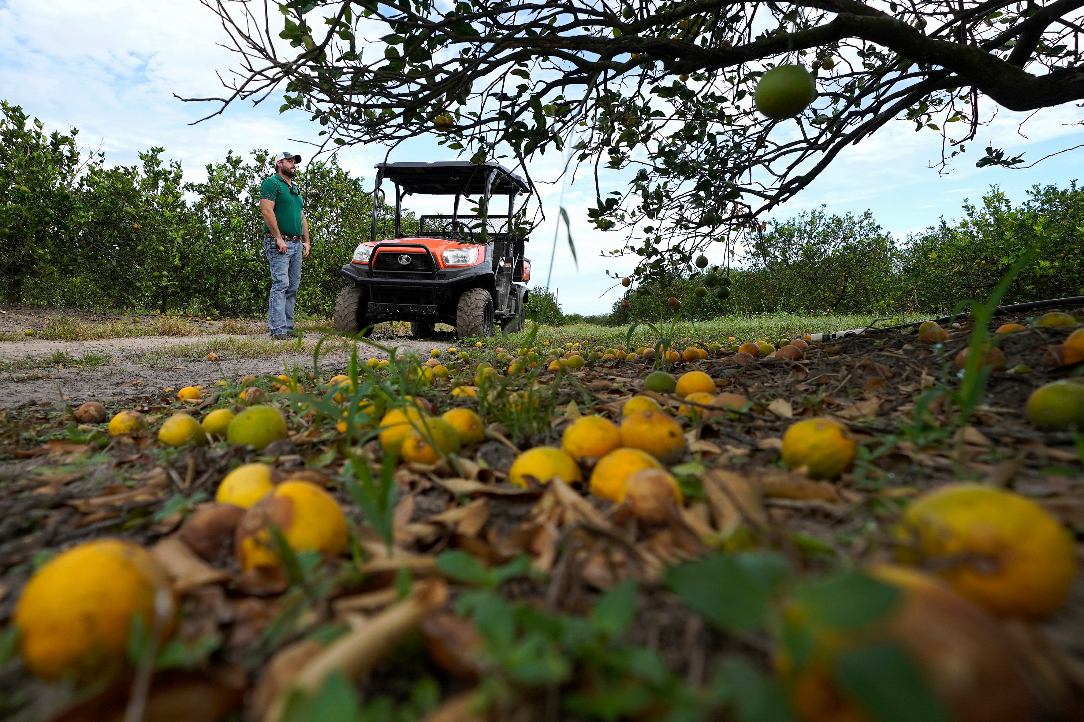 Hurricane Ian Florida Agriculture