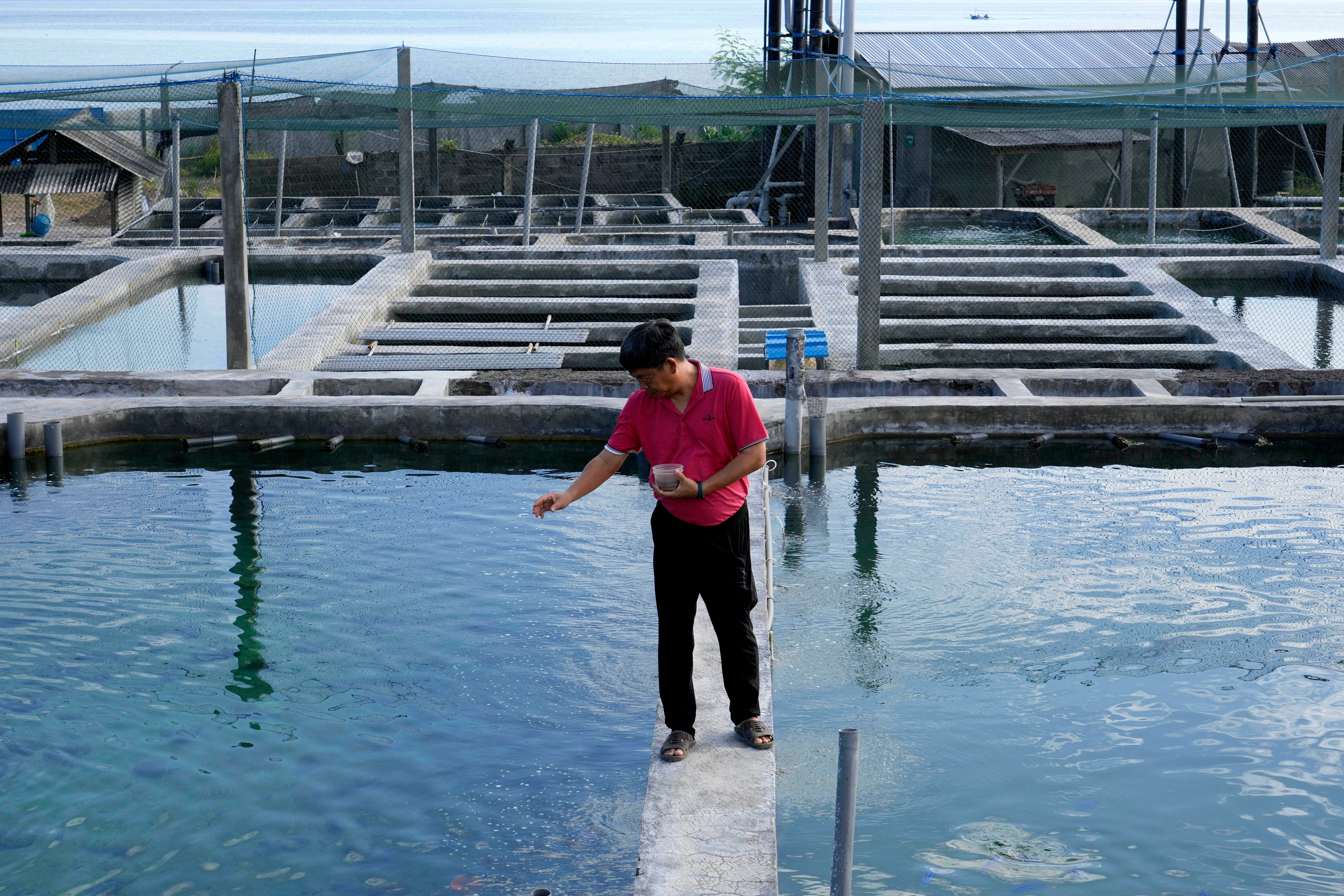 Aquarium Fish-Captive Breeding