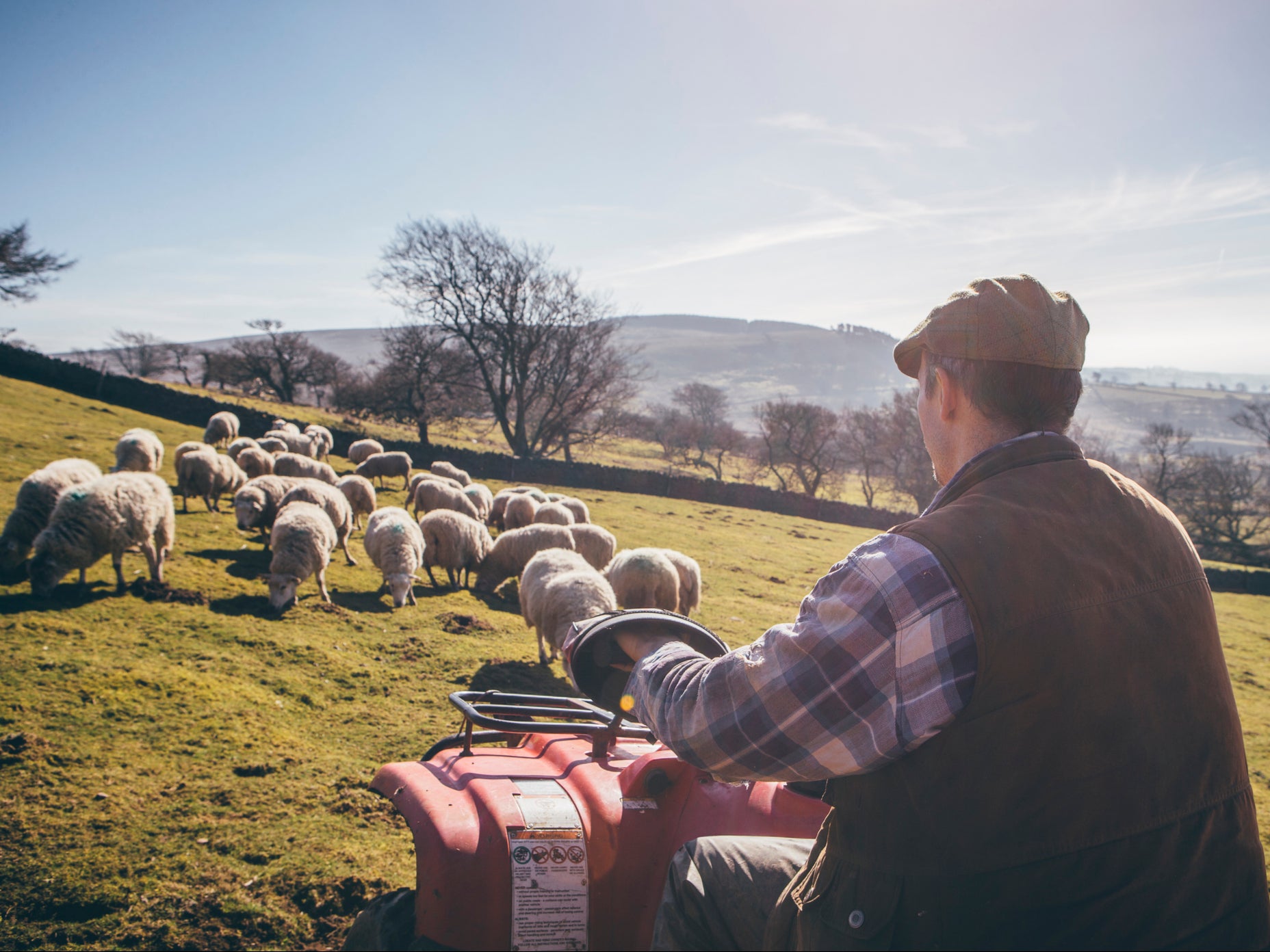 More than 300 farmers have written to 148 Tory MPs expressing serious concerns