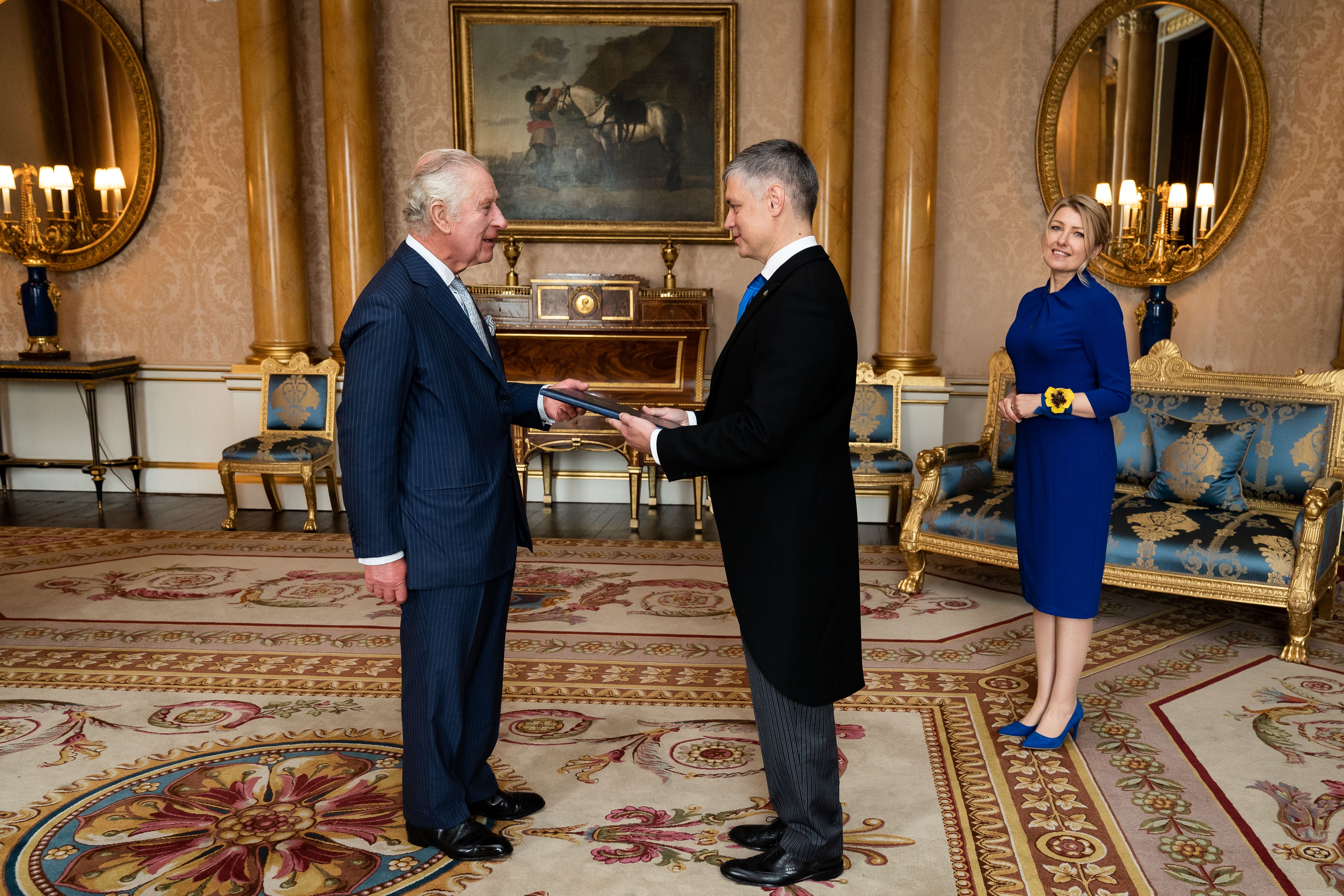 The King during an audience with Vadym Prystaiko (Aaron Chown/PA)