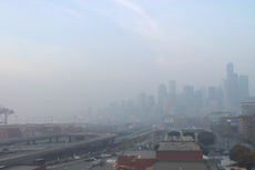 Seattle air quality worst in the world as wildfires rage in Washington state