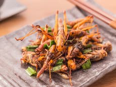 Edible insects that started as garage experiments may be sold in Aldi