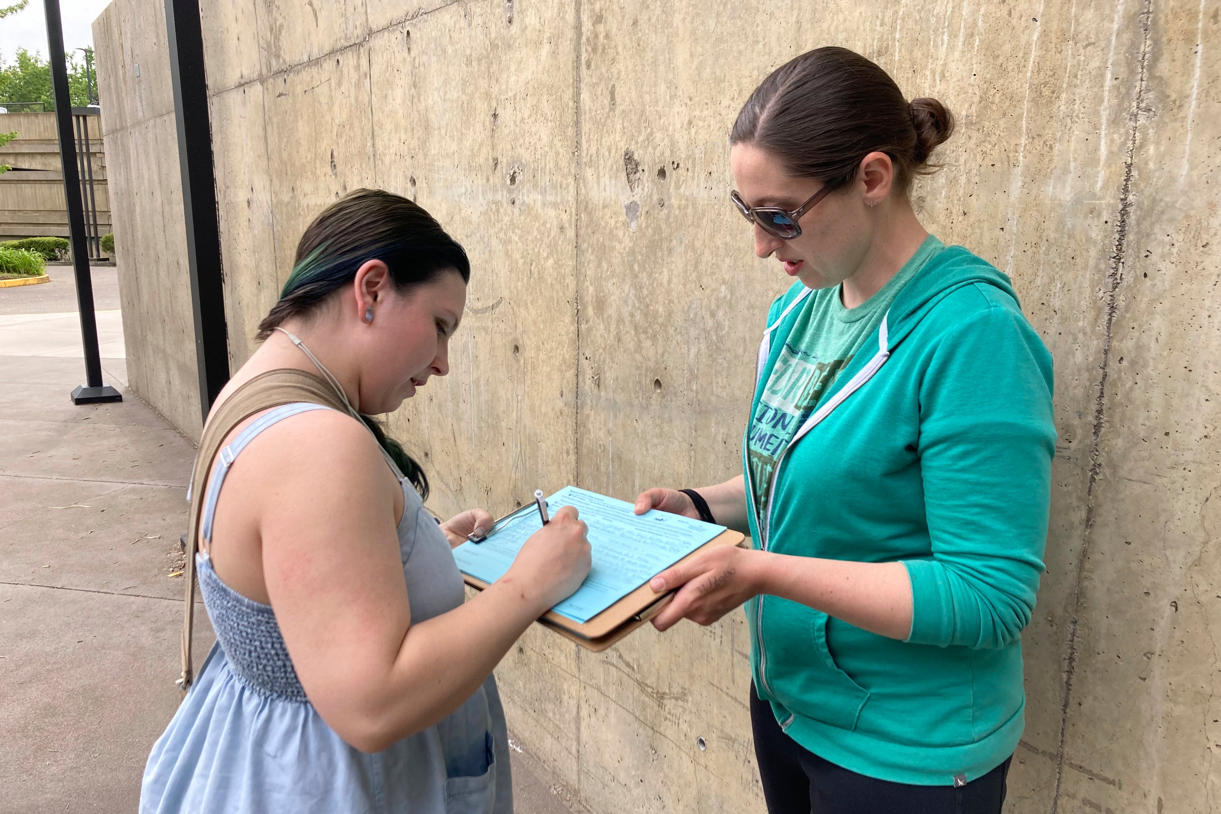 Election 2022 Ballot Issues Explainer